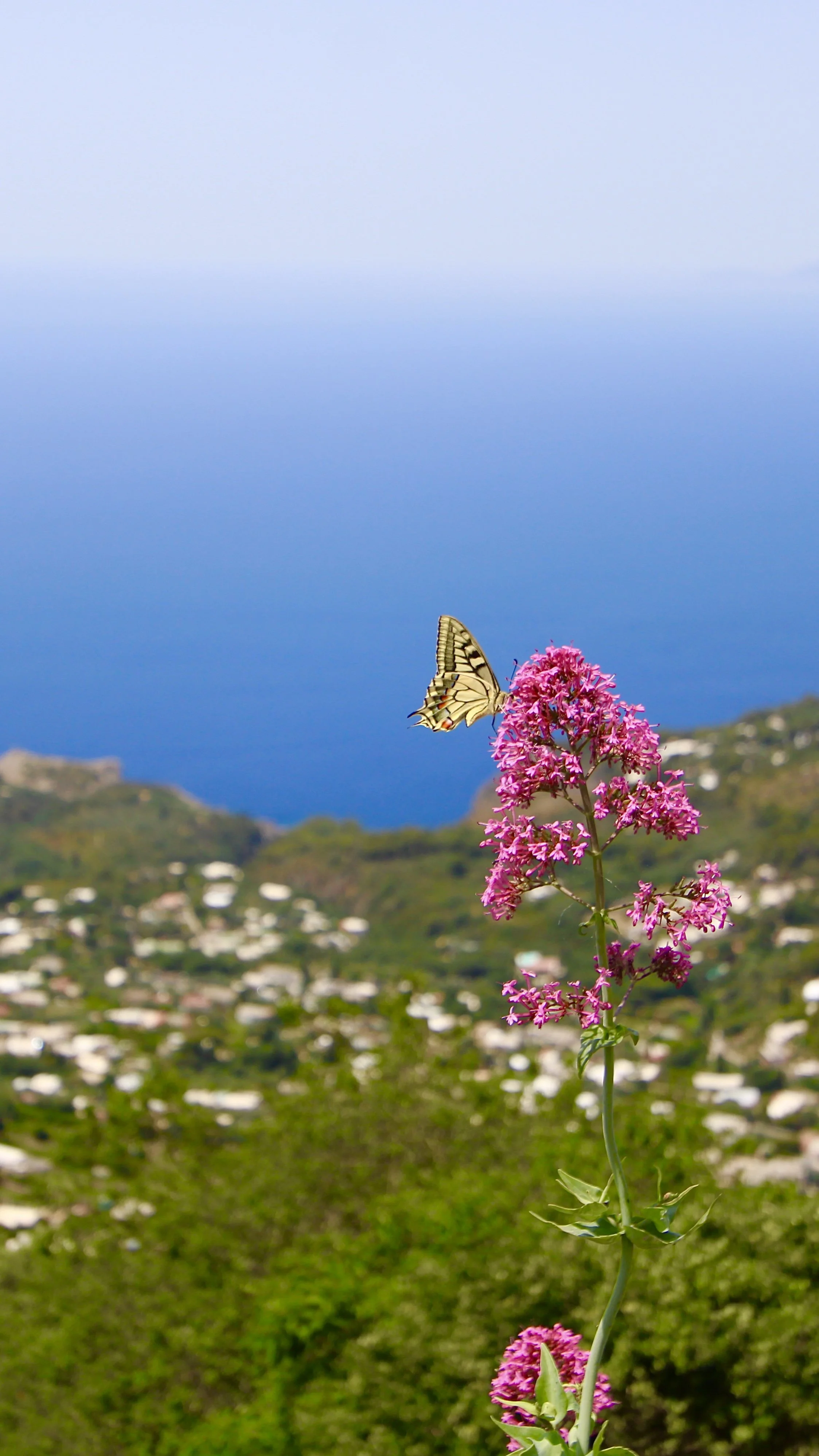 Capri, Italy