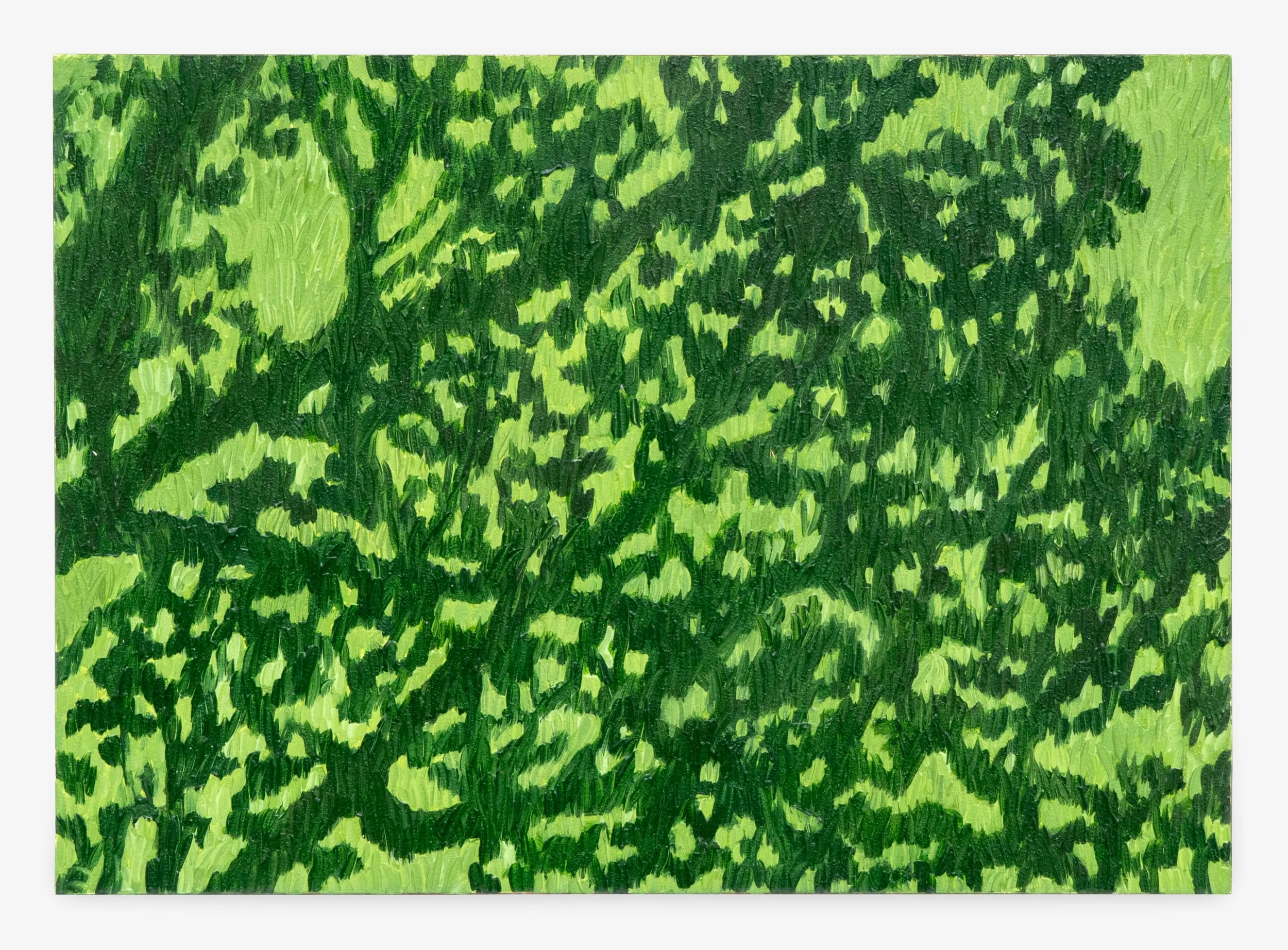 AvaMcDonough_Tree Shadow_2024_oil on panel_5x7in_AMD016.jpg
