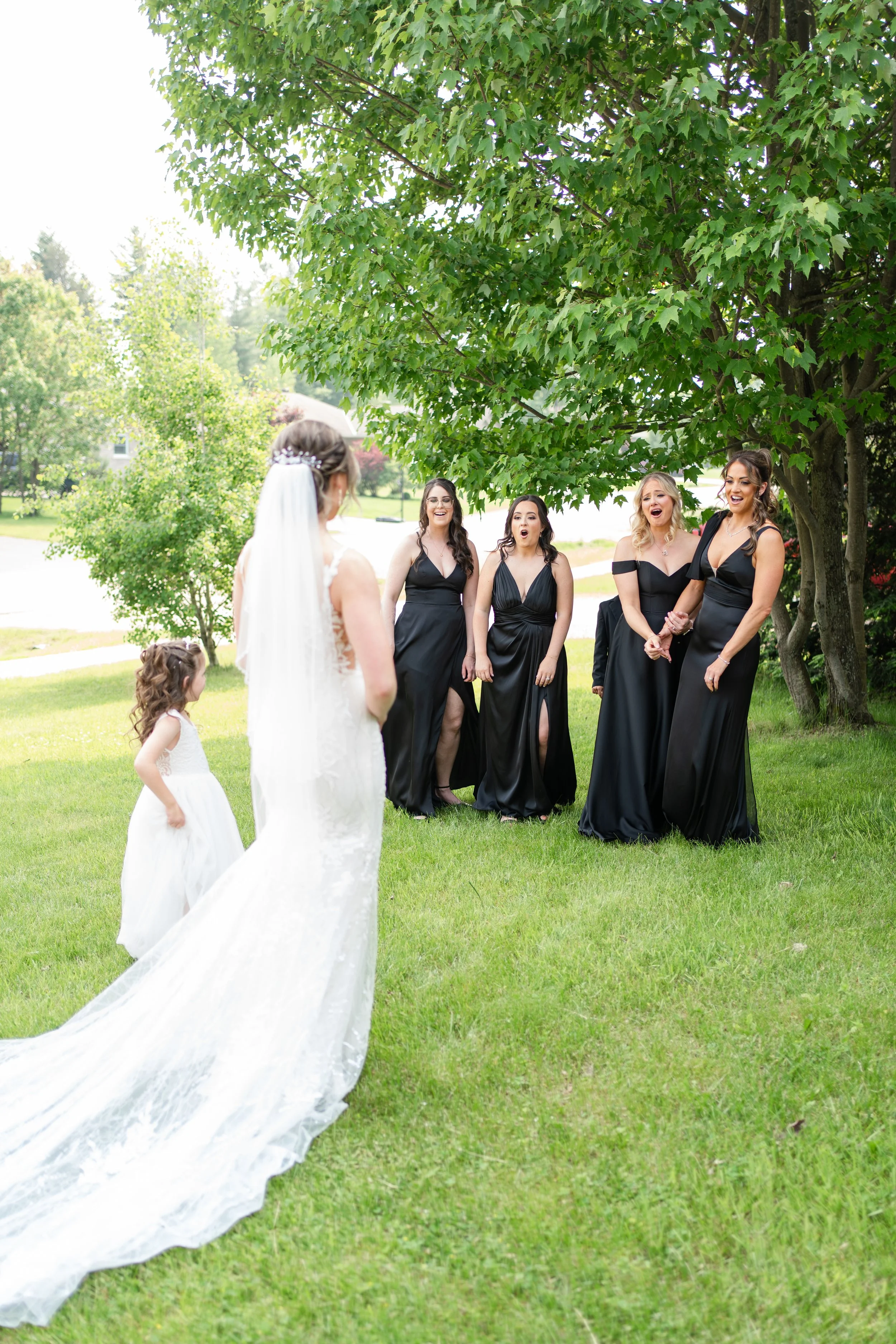 A bride in a white wedding dress and veil faces a group of five bridesmaids in black dresses, standing under a large tree on a grassy lawn. Petawawa, Ontario