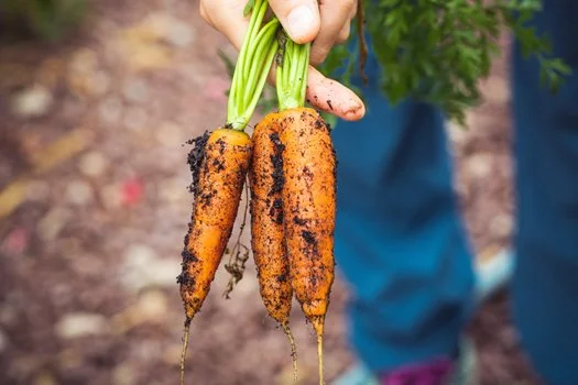 All organic? Not this health coach.