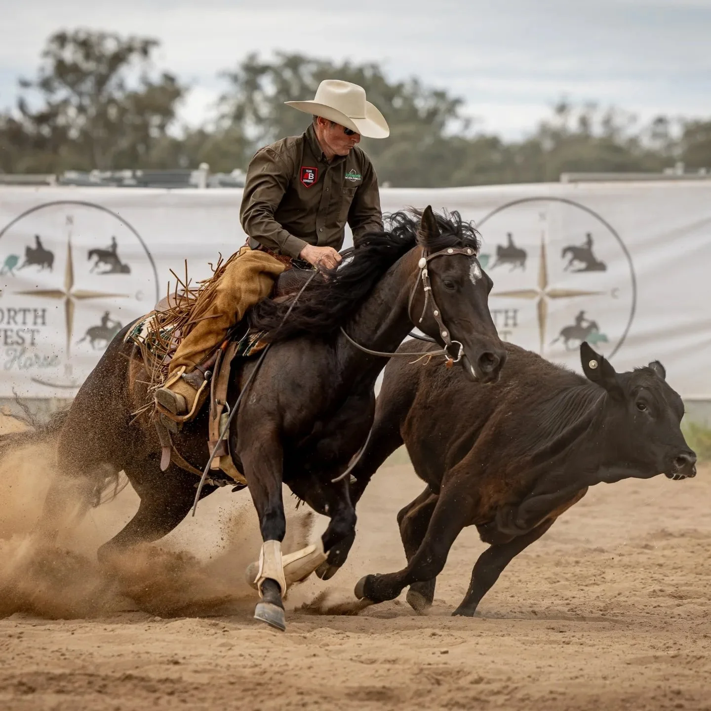 Lake Cargelligo  Cow Horse Clinic 