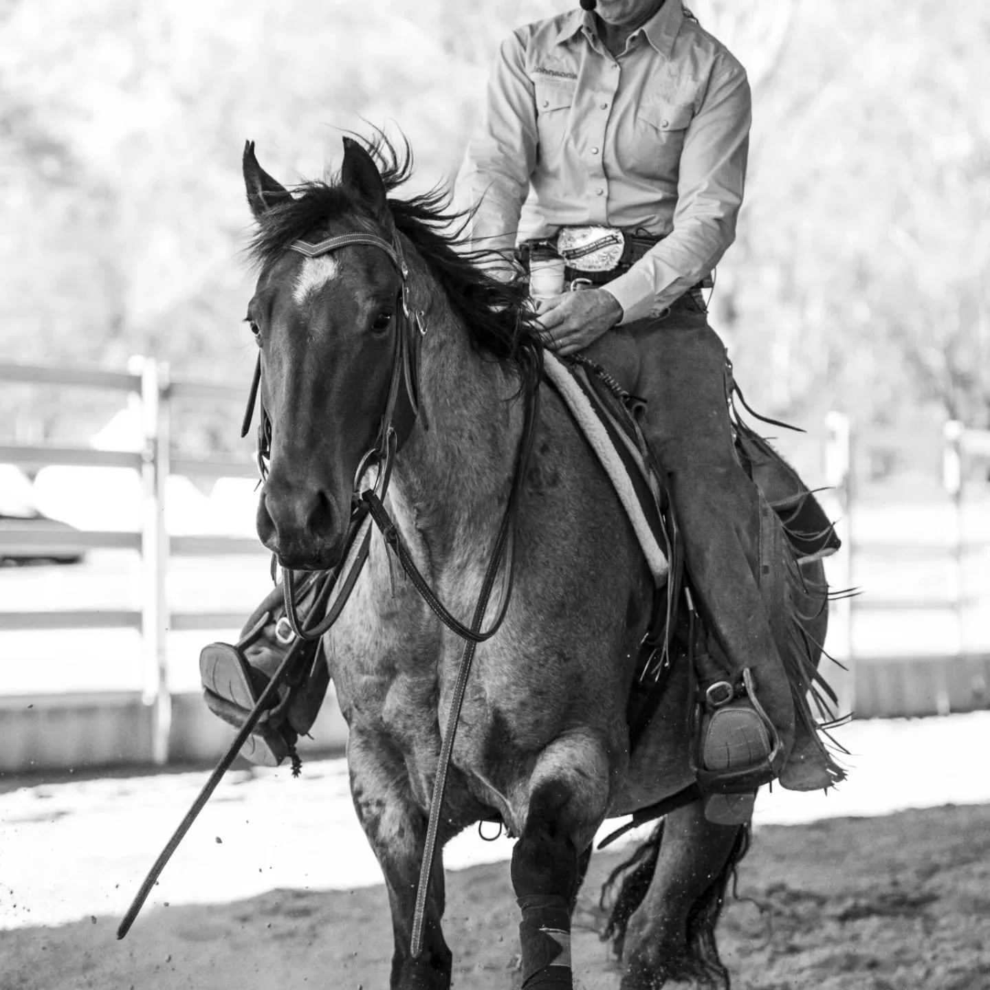We have been covering some country the last few weeks. Early October saw Lindee head North to Kilkivan QLD for the Cowgirls Gathering. The event was an outstanding experience and a meritorious concept. We are thankful to the entire team for having us