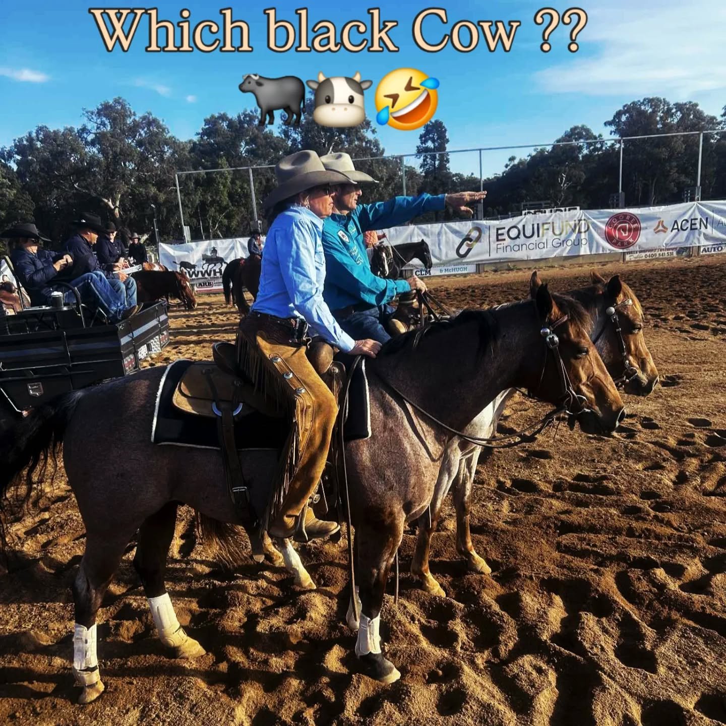 A Typical conversation between myself and my husband .. i really do appreciate his patience 🙏 .
Thankyou for the photo Dave Coleman 
#cowhorse
#herdworks 
#patienthusband 
@nrchaaustralia