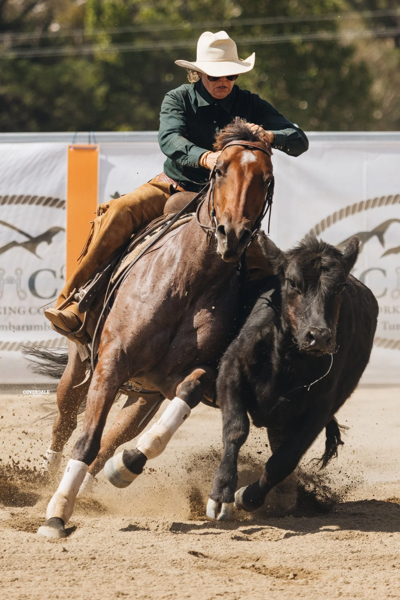 Delungra  Reined Cow horse 
