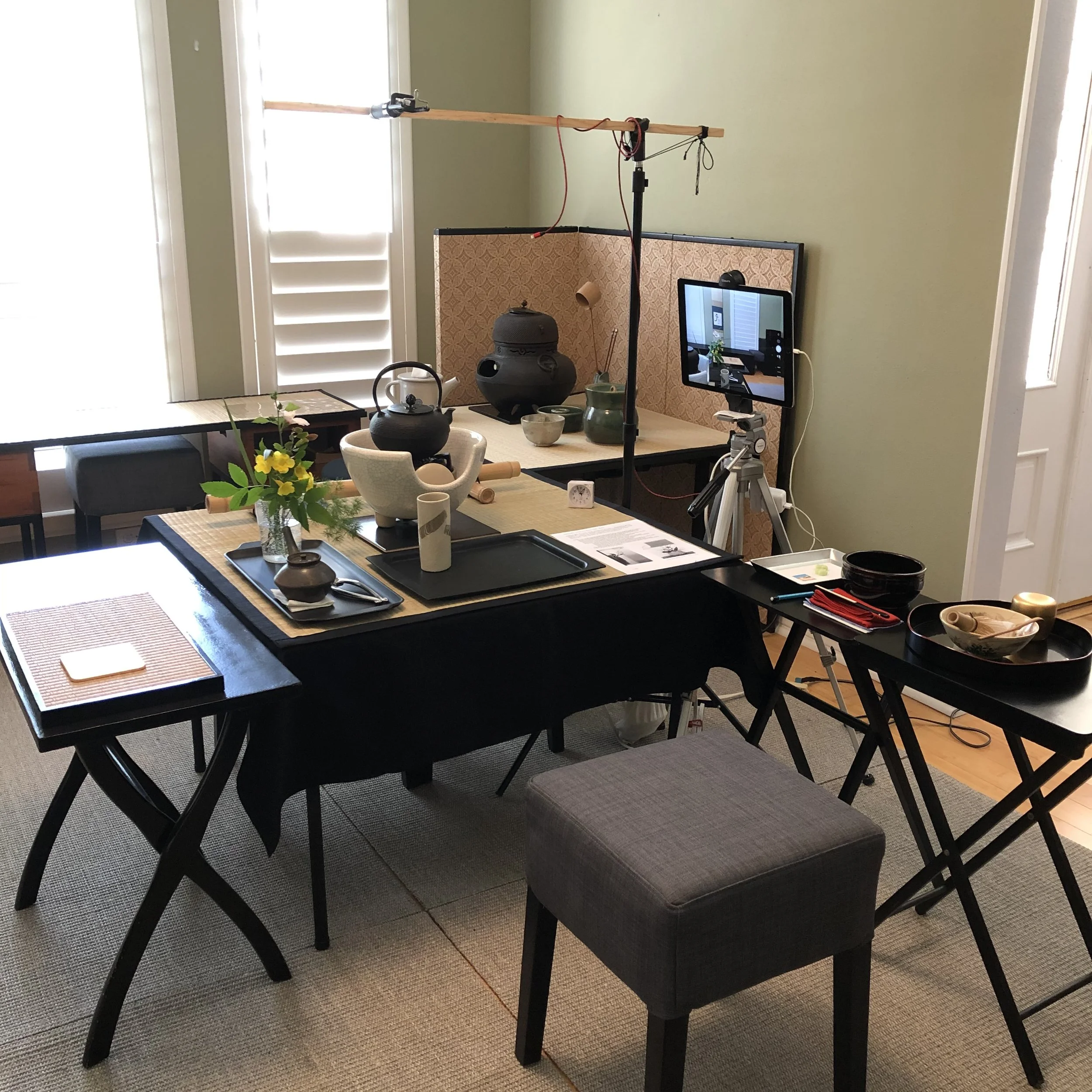 2019-21 - Zoom Lessons during Covid