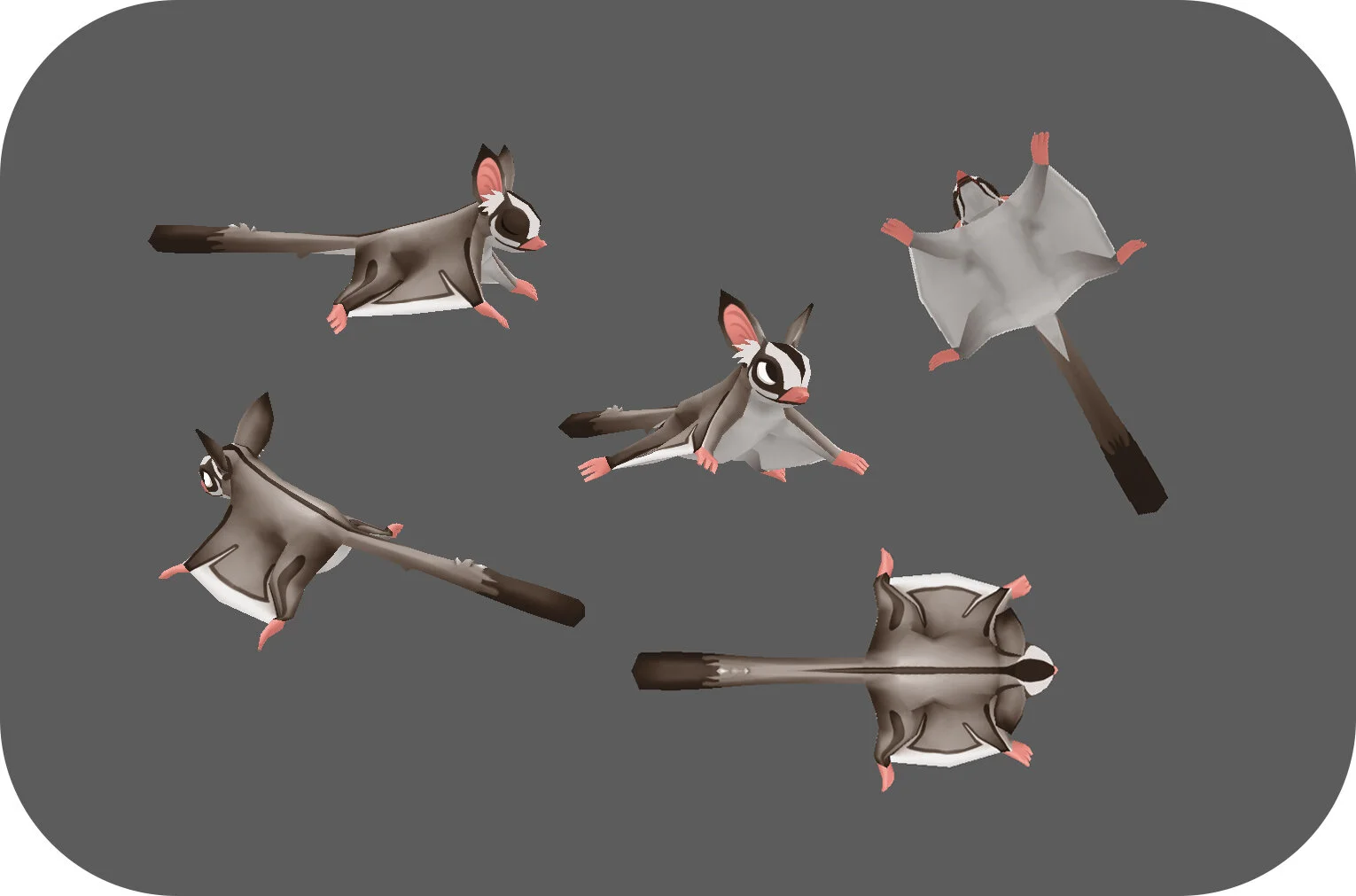 sugar_glider_render.jpg