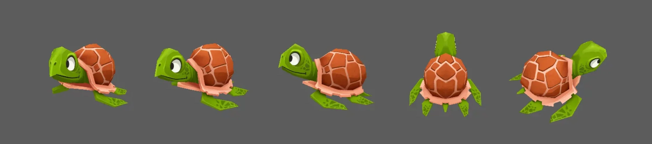 turtle.jpg