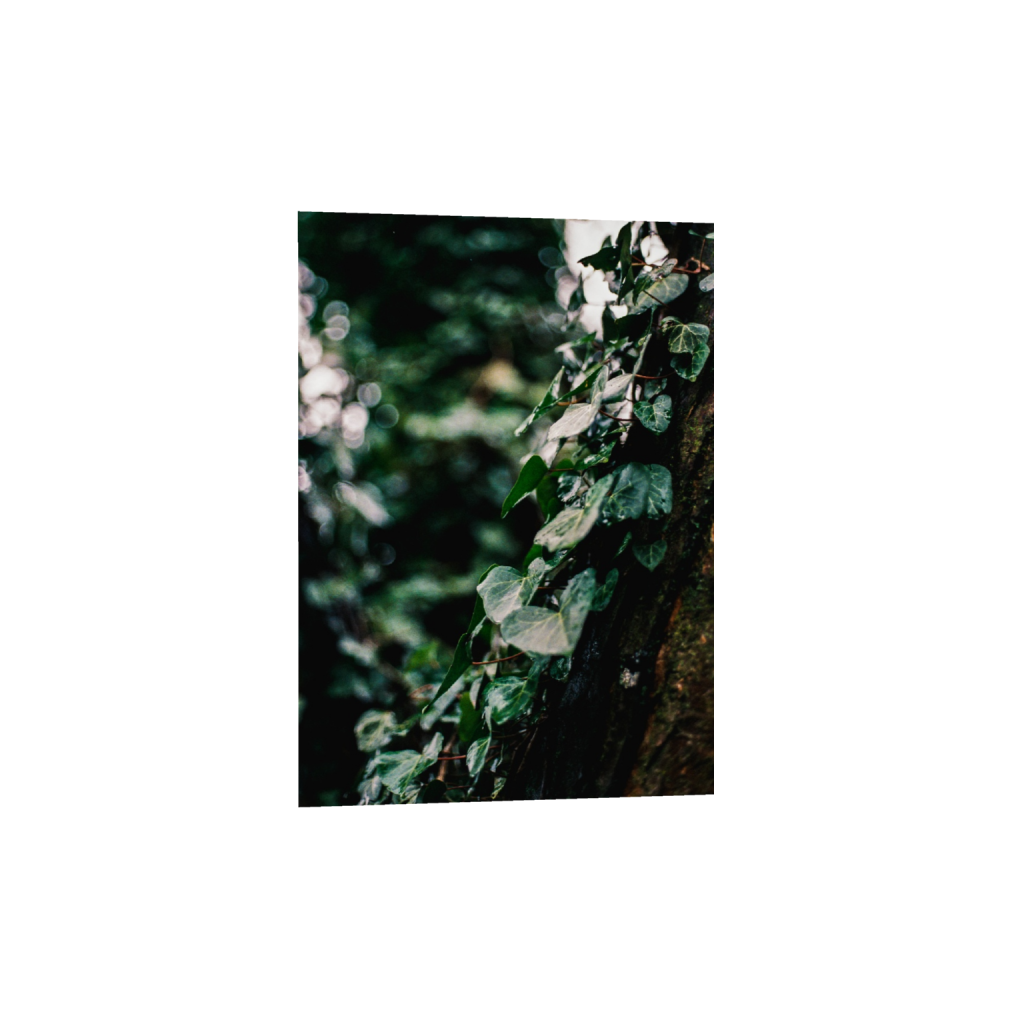 ptq_1_7_410_0_3257_4561_0_false_ffffff_0_0_.png