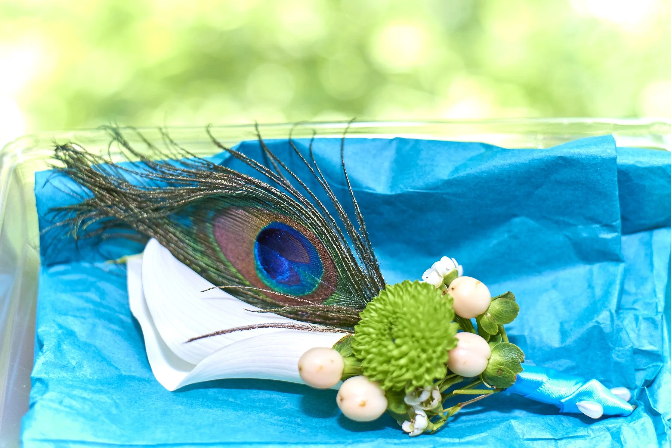 Groom boutonniere