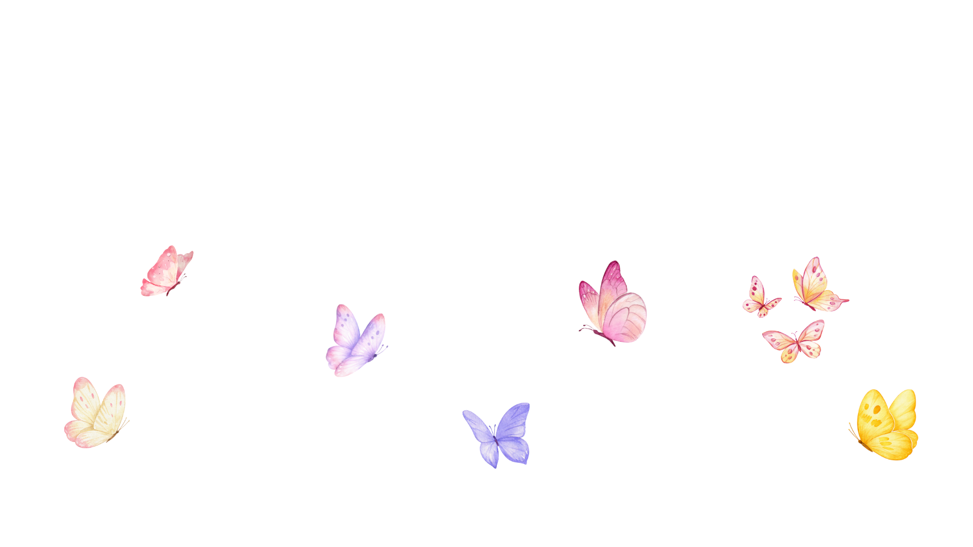 Colorful butterflies flying against a black background with a few scattered yellow flowers.