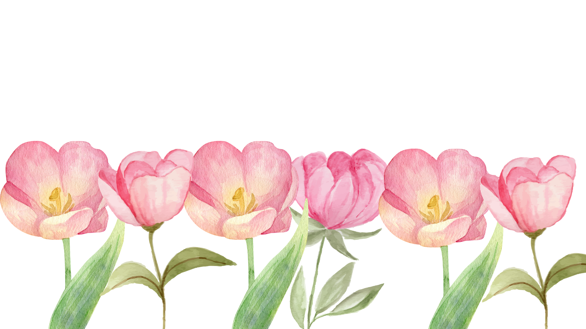 Watercolor illustration of pink tulips with green leaves, arranged in a row.