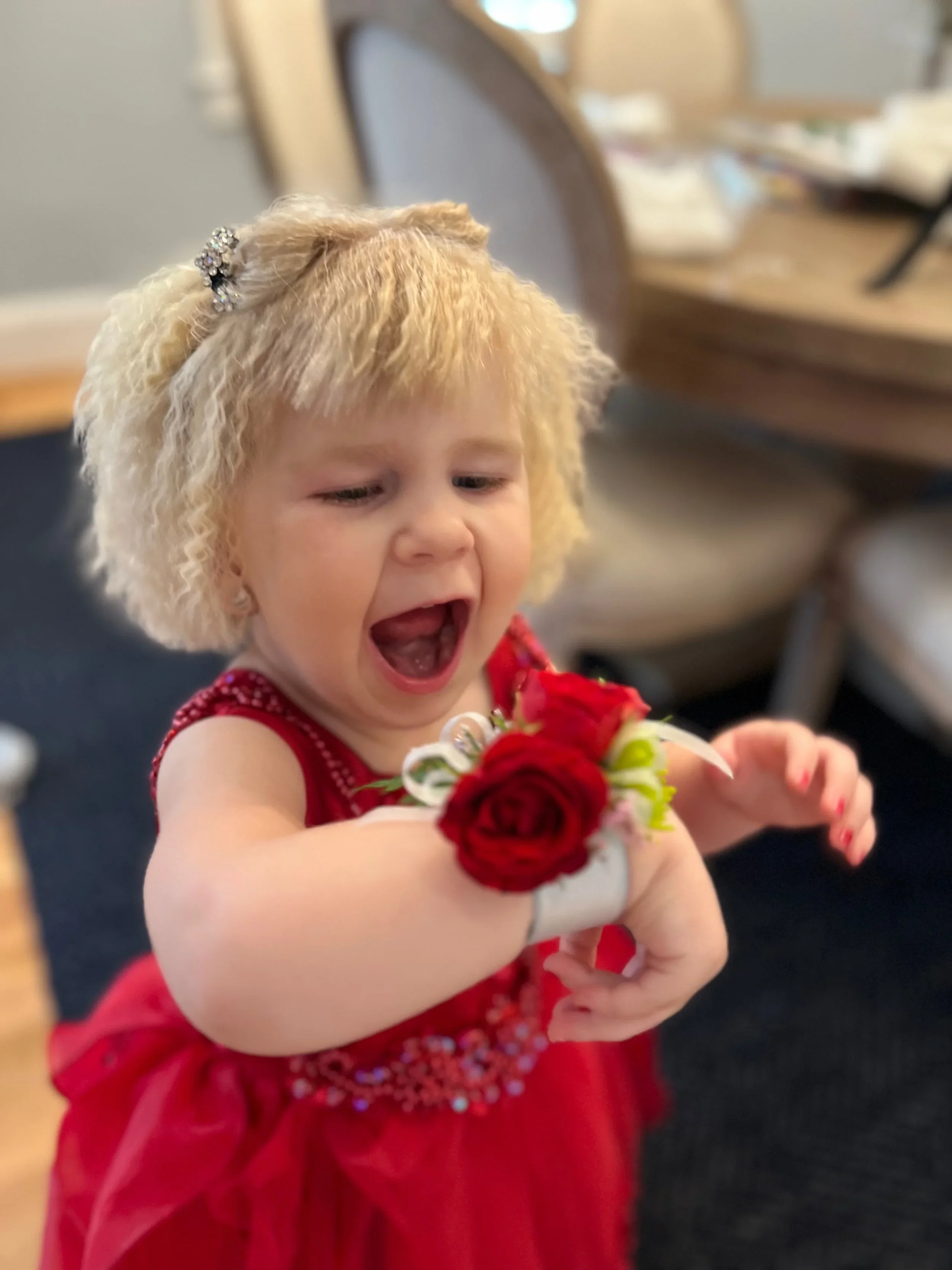 Daddy Daughter Dances Corsage