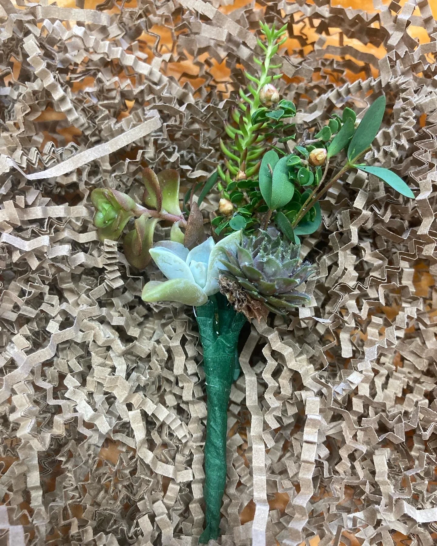 Succulent boutonniere
