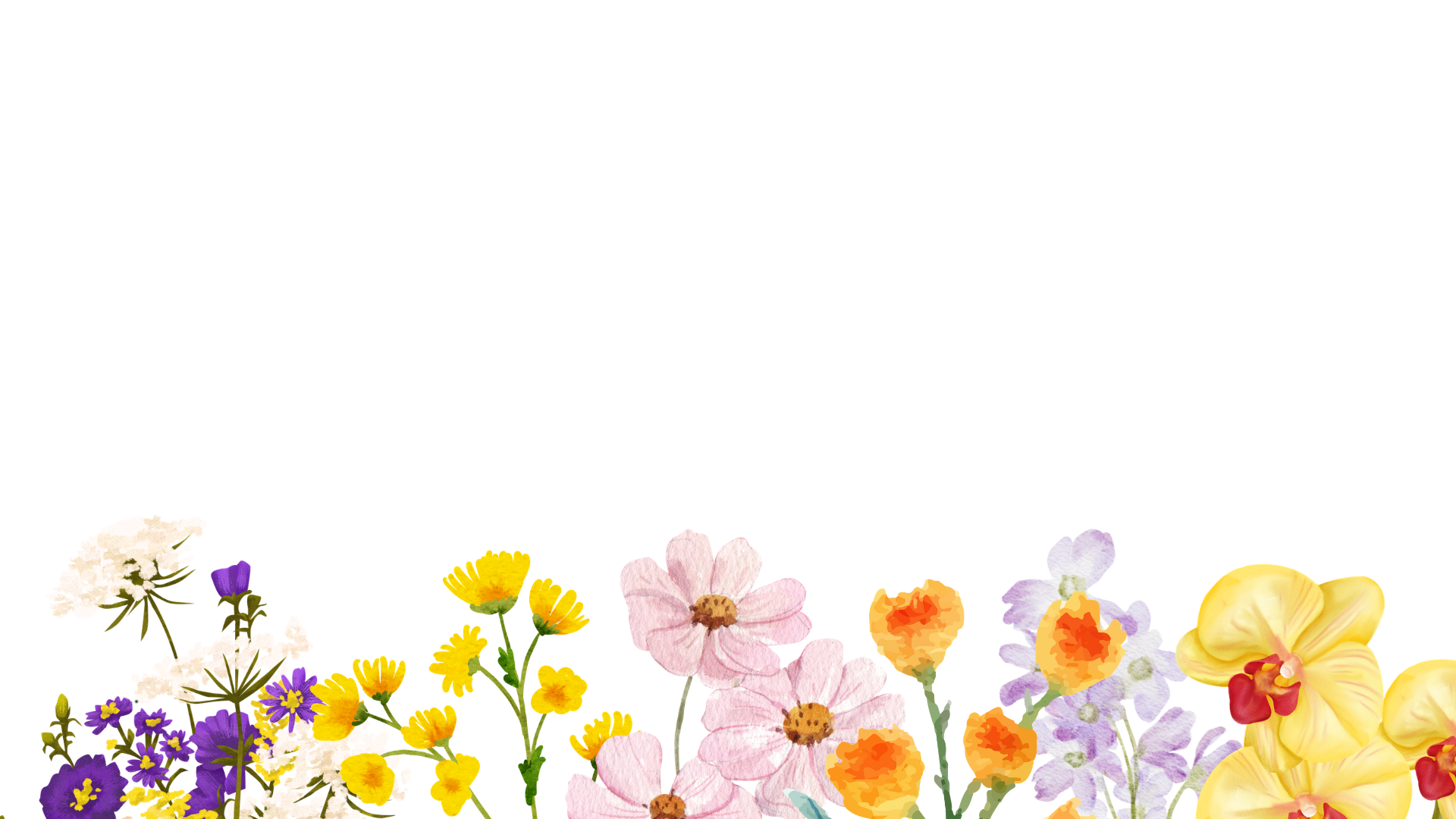 A colorful assortment of various flowers including white, purple, yellow, pink, orange, and yellow orchids at the bottom of the image.