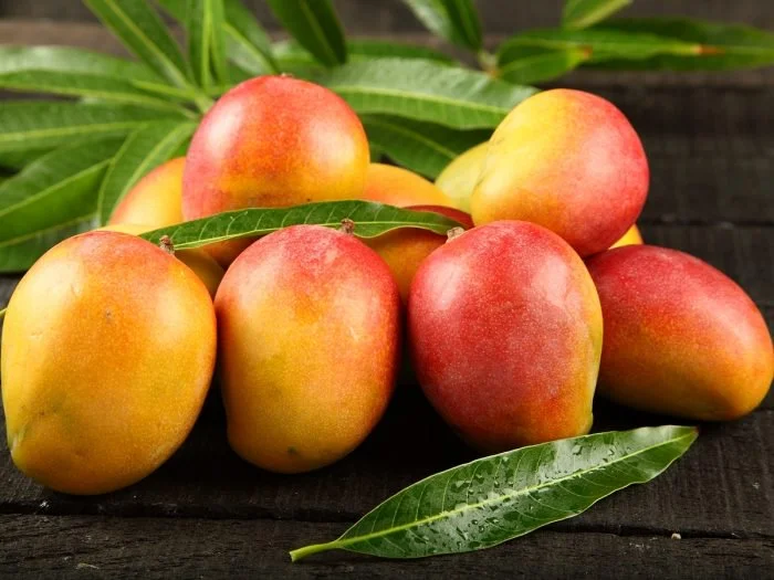ANNOUNCEMENT: USDA Announces FINI Grant (Official Release)