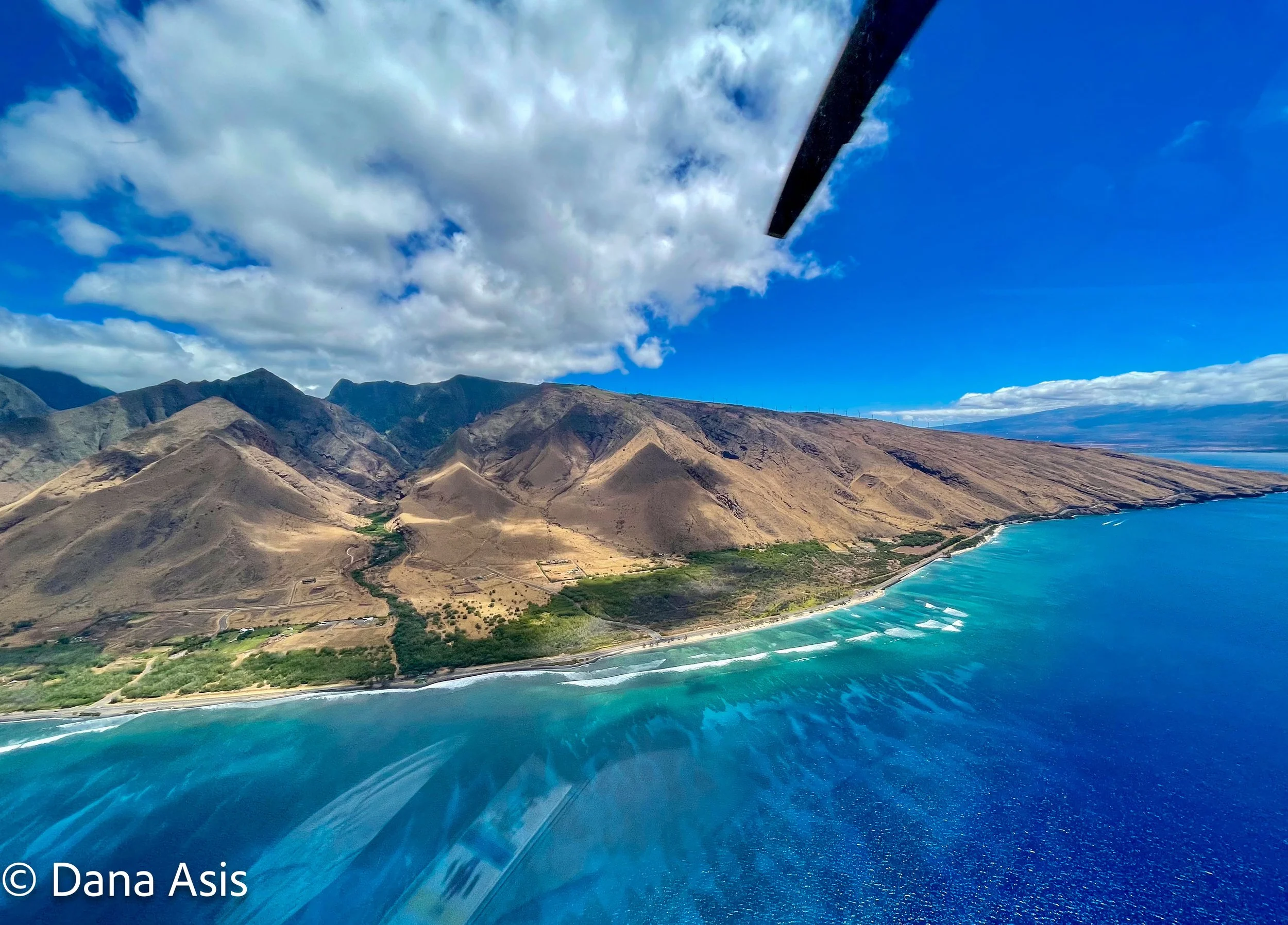 Pilina Relief Fund - Day 16 - Lahaina Strong