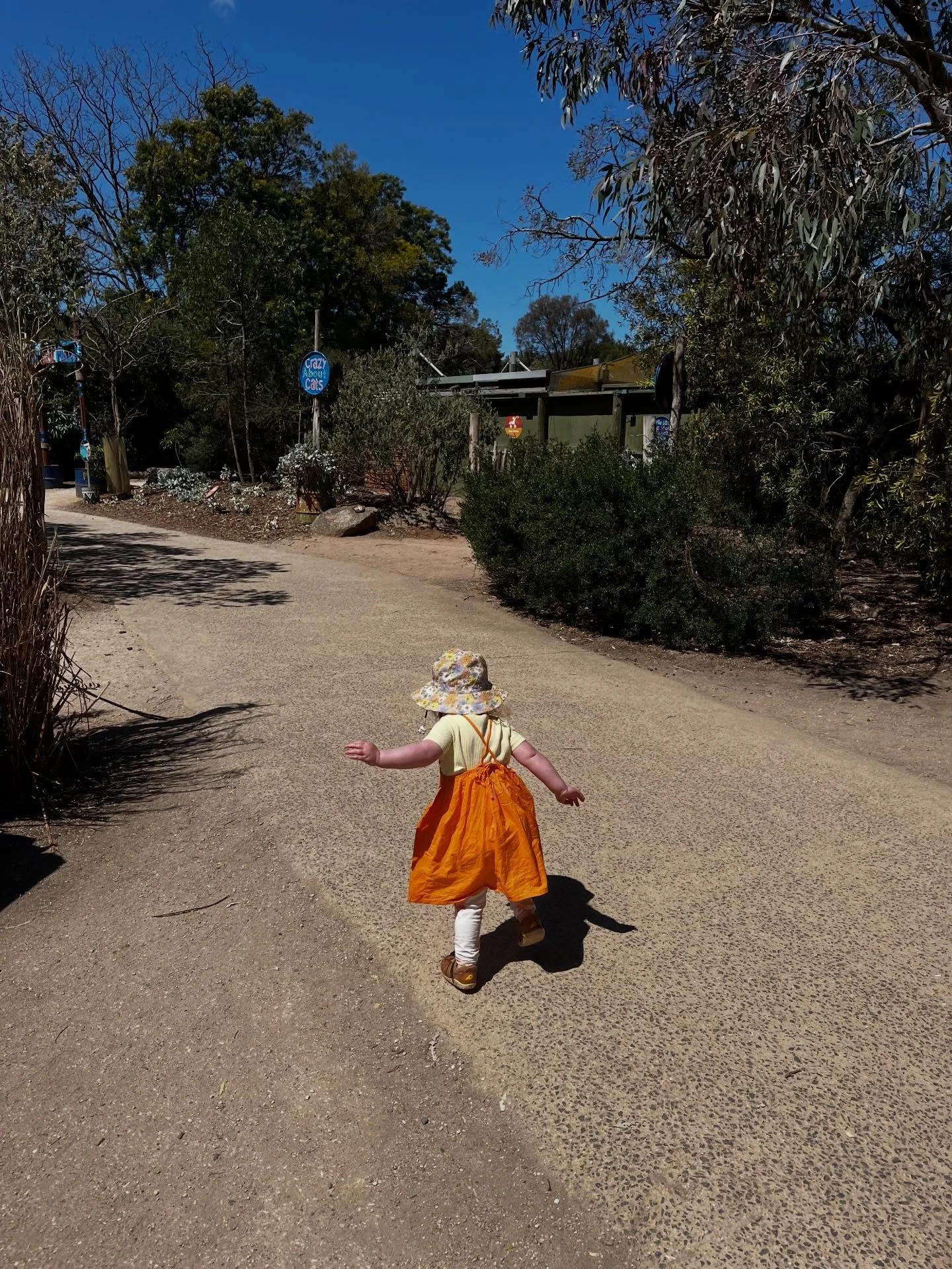 2 years of loving you beyond the limits of what I thought was possible 💕 happy birthday sweet girl!

LoLo ~ you are the most beautiful, clever, incredible, funny little human! My heart is so full from the joy and love you&rsquo;ve brought into our l