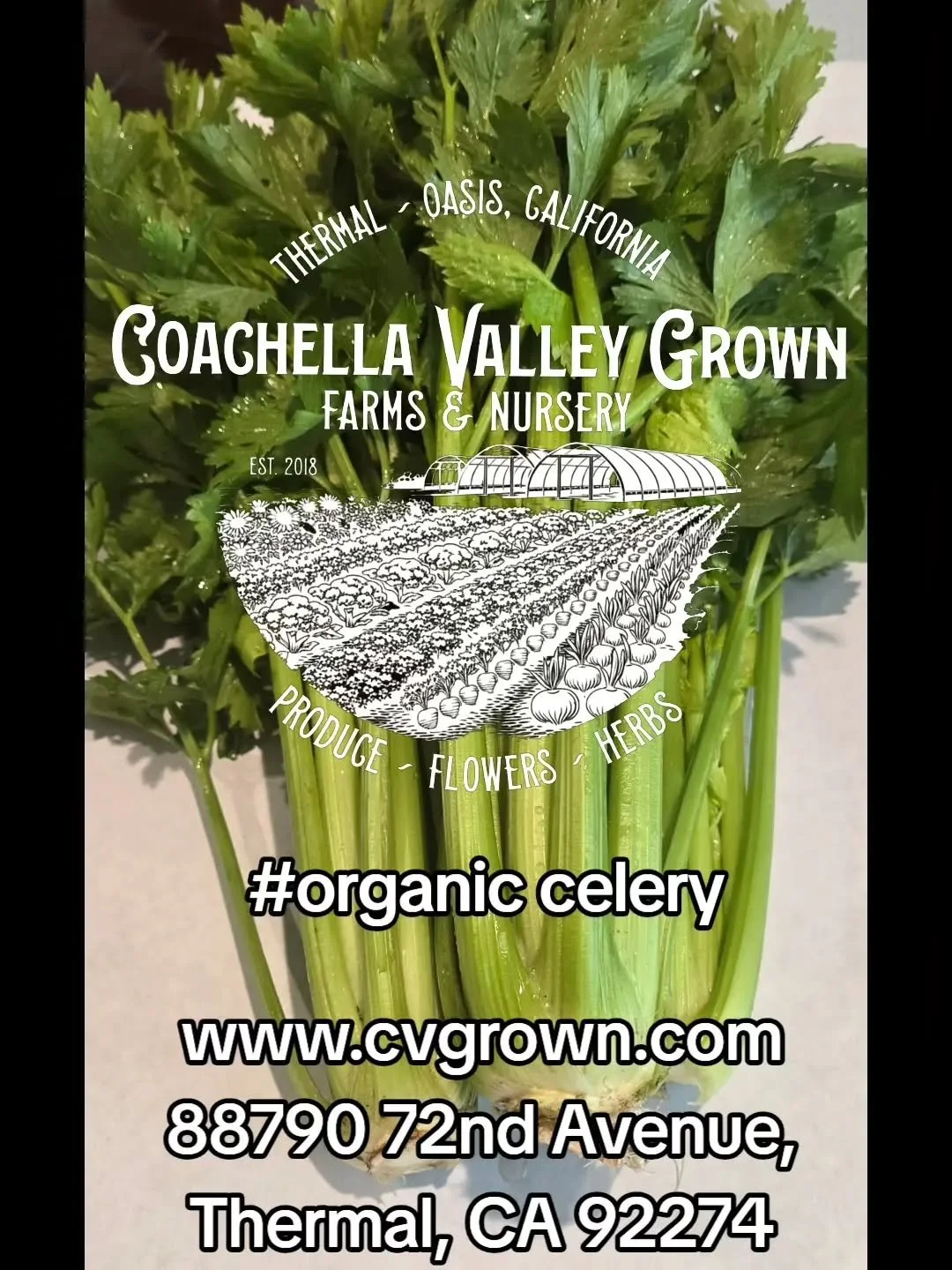 Coachella Valley Grown Farms and Nursery
Buy our organic celery. $3.00 each. #cvgrownproduce #herbs #flowers #thermal #fresh