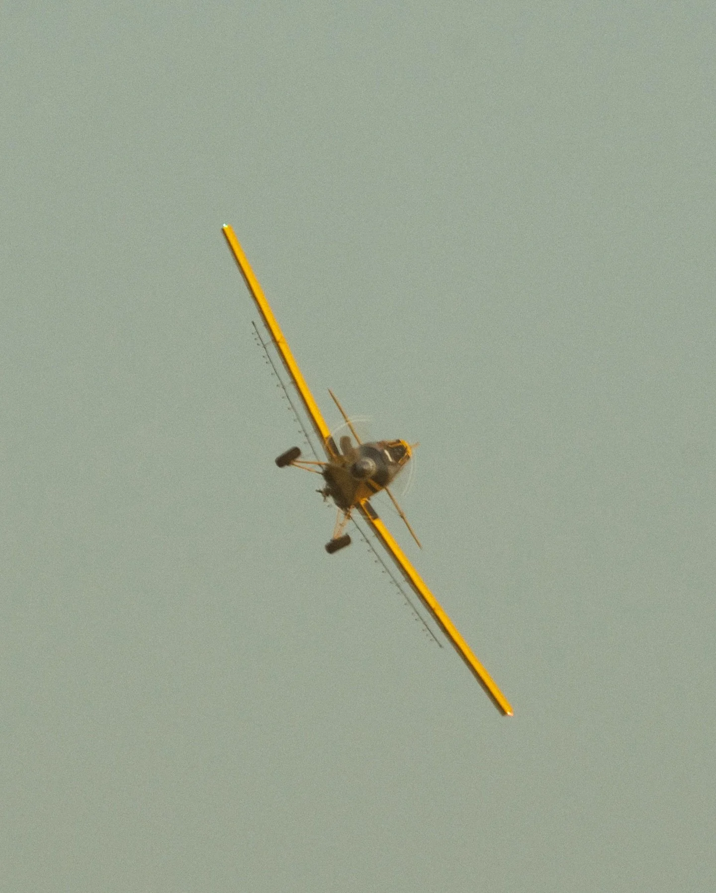 a lil vintage feel yellow on blue 

#agaviation #thrush #flyiton #cropduster #agpilot #ndliving