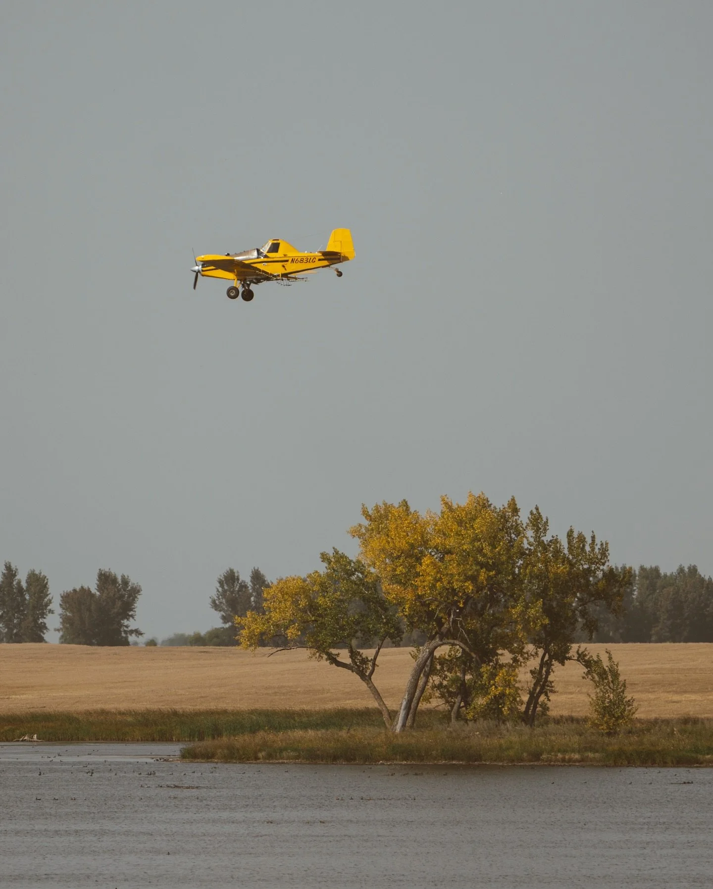 Leaf peepin around here 🤩 

#fallseason #agaviation #flyiton #pasturespraying #thrush #agpilot #cropduster