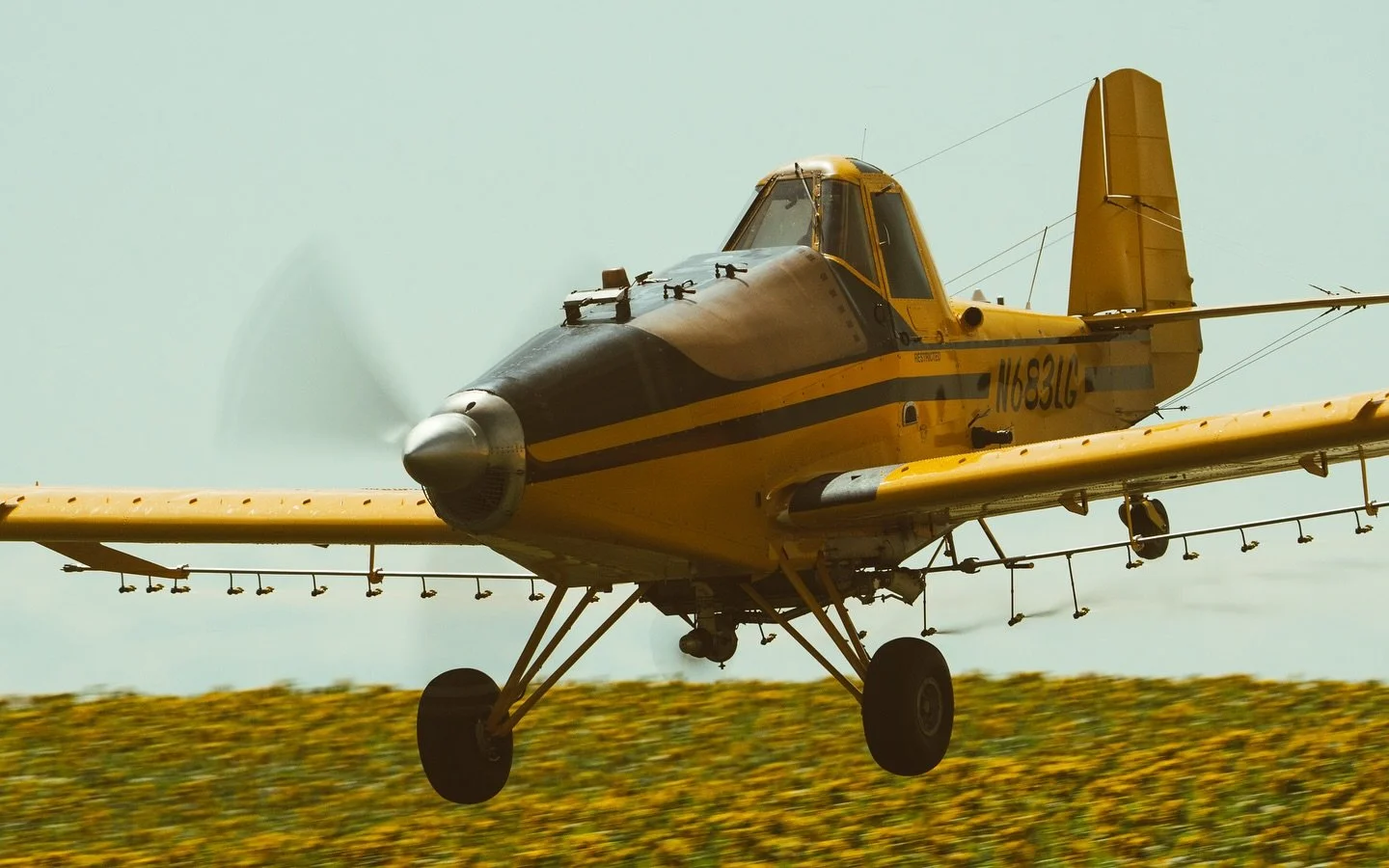 yellow on yellow 

#agaviation #thrush #flyiton #flylow #cropduster #agpilot #ndag #northdakota #ndagaviation #commercialaviation