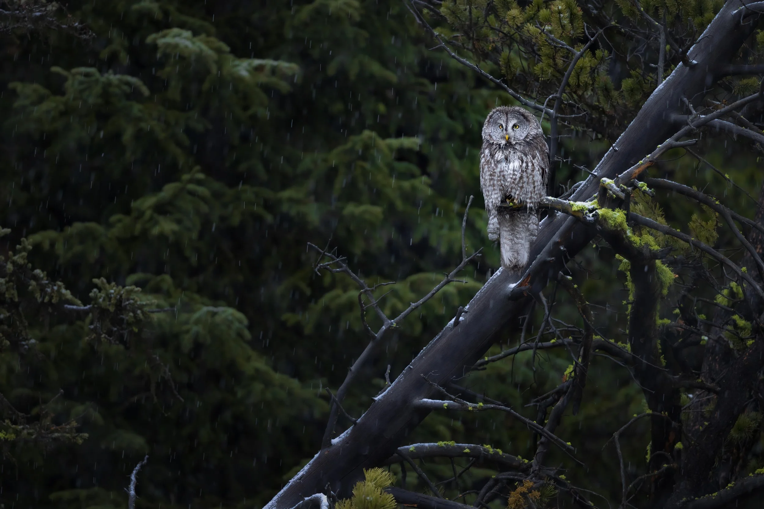 3E4A0935-Edit.jpg