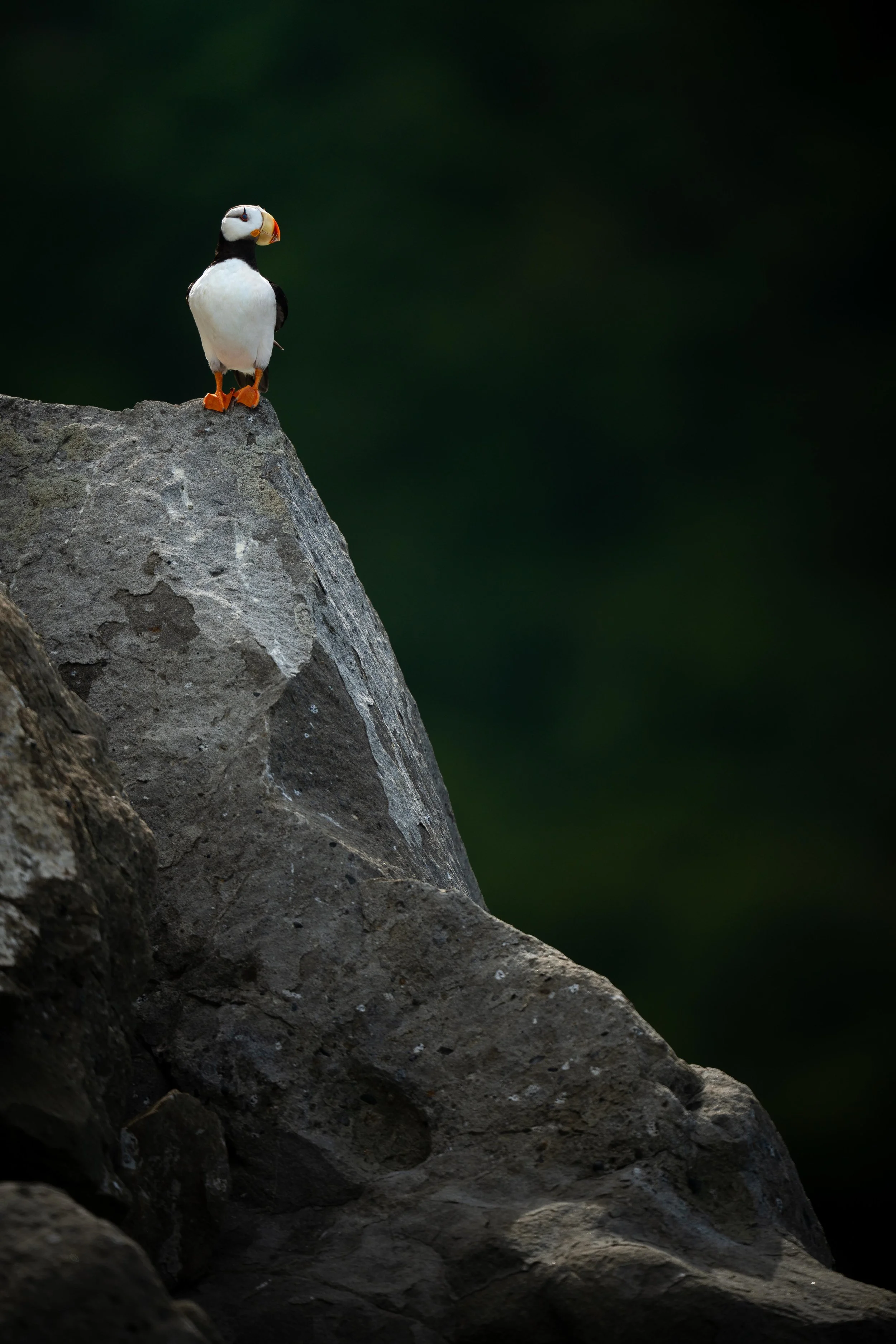 DSC_4168-2.jpg