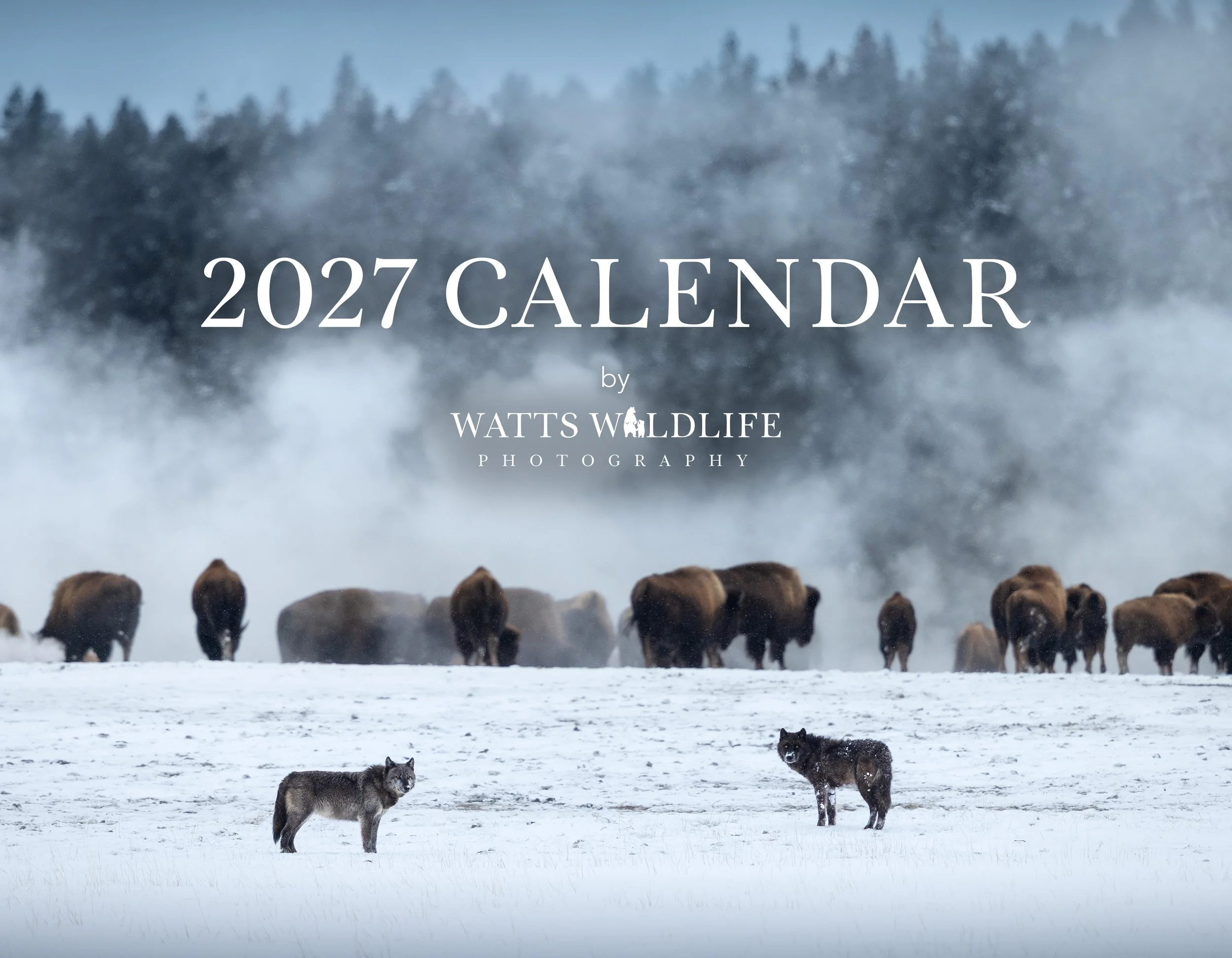 SpiralBoundCalendar_2027_11x8 copy.jpg