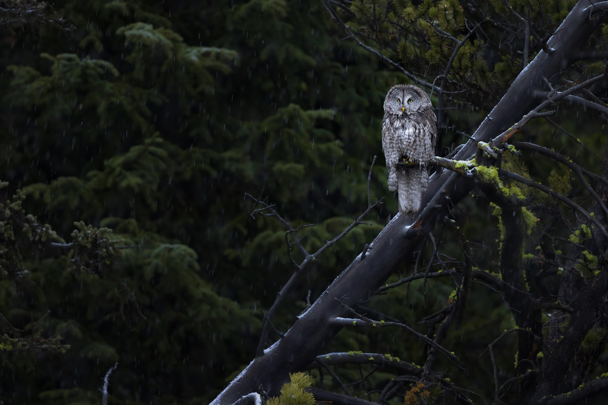 3E4A0935-Edit.jpg