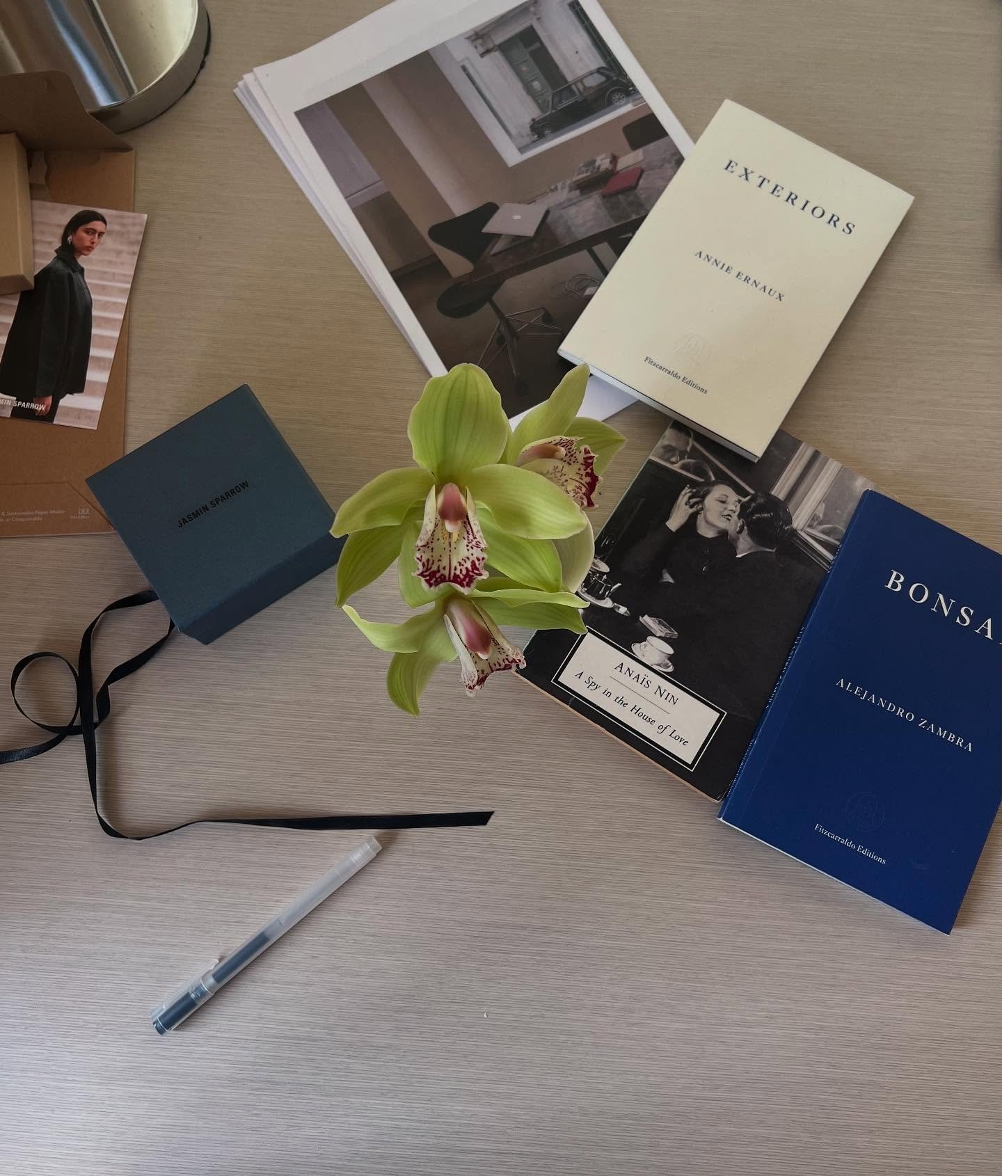 Mapplethorpe-esq mess.