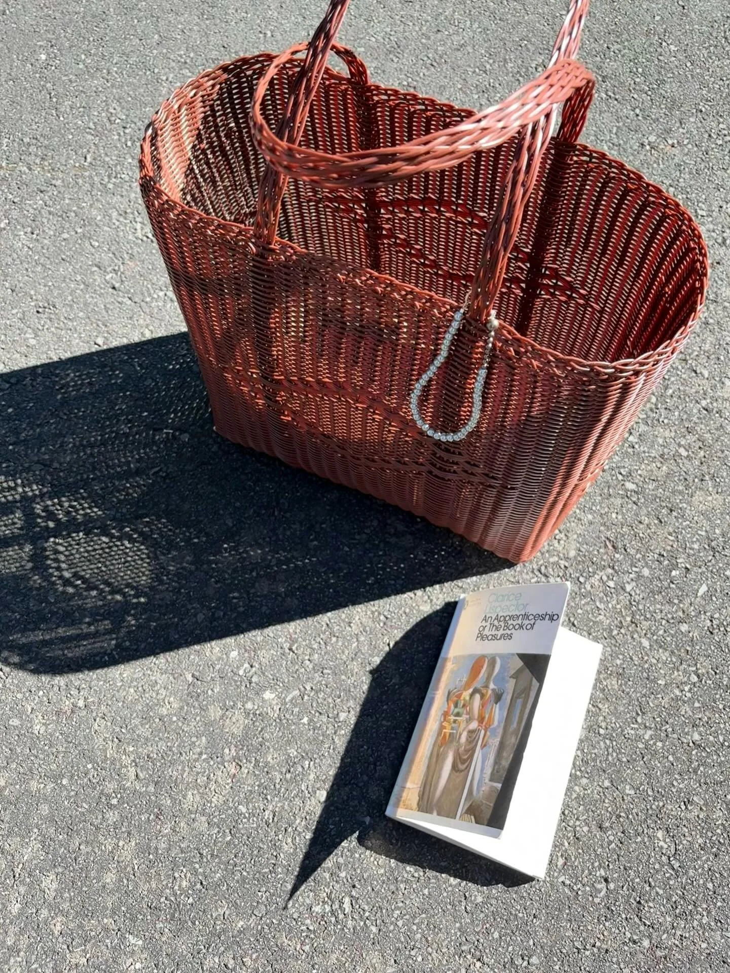 Following the sun with Clarice.