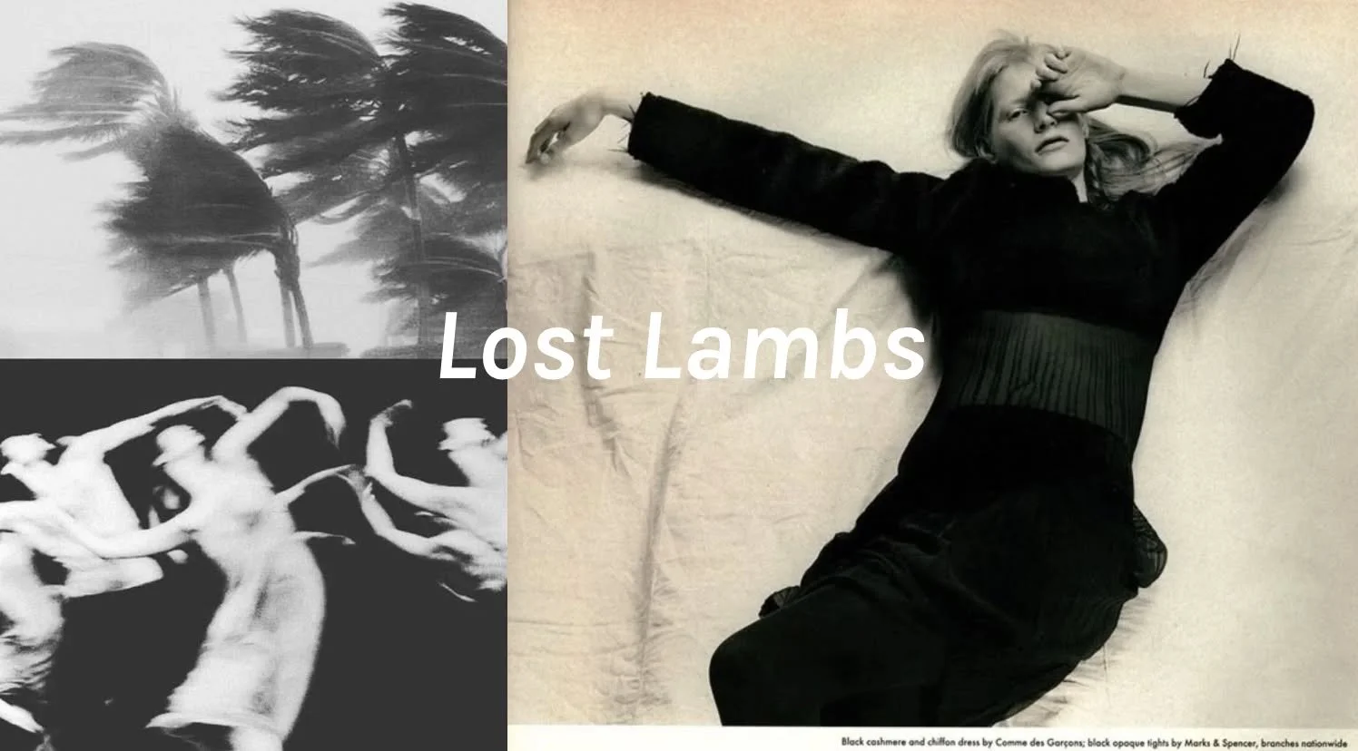 BOOK REVIEW: Lost Lambs by Madeline Cash. 

'Cash is concentrated. She will not dilute her writing for comfort. Absurdist flourishes, surreal textures, linguistic playfulness, and an occasional textual oddity characterise her writing.'

Read read rea