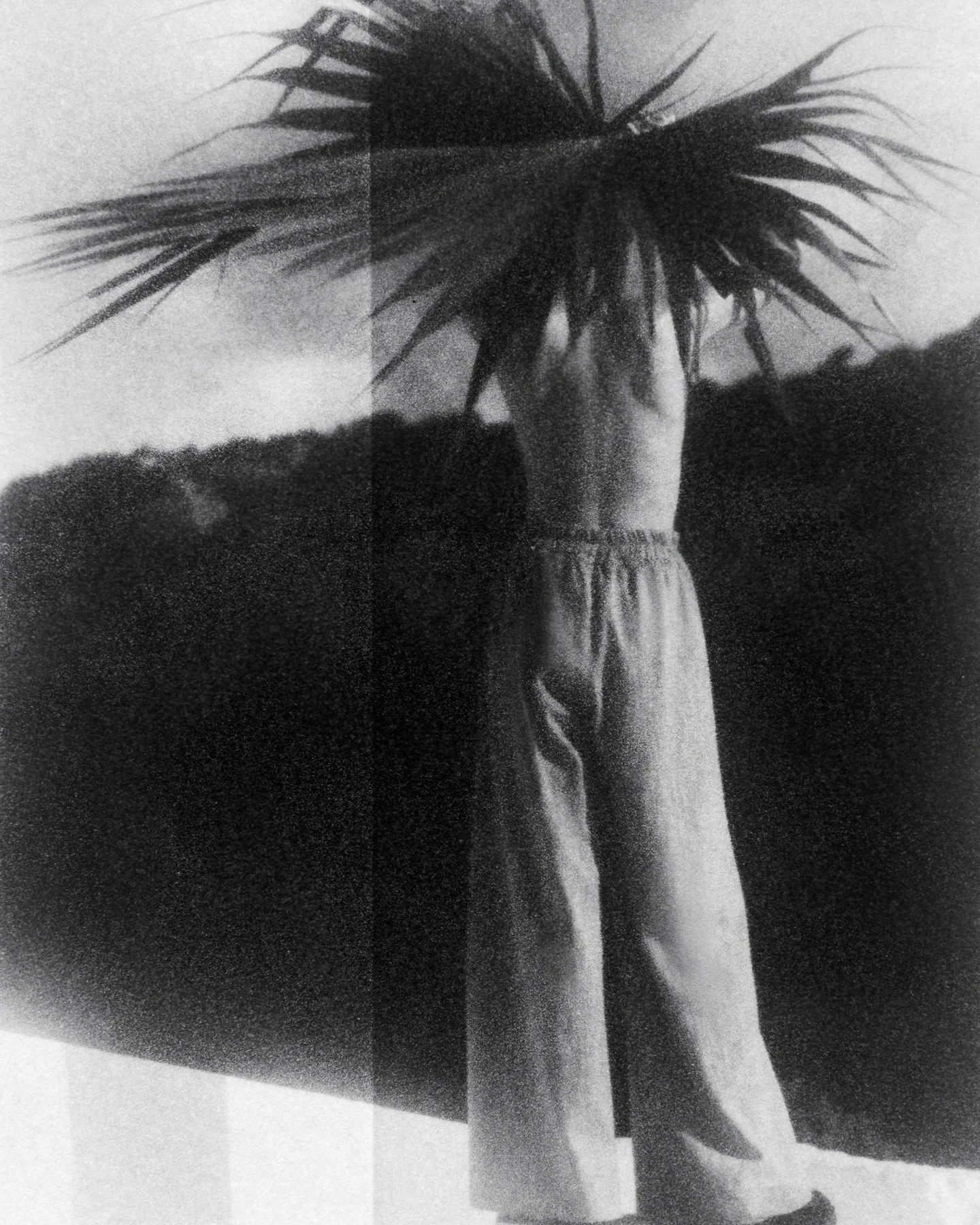 Sess&ugrave;n Spring 24 by Amelie Ambroise.