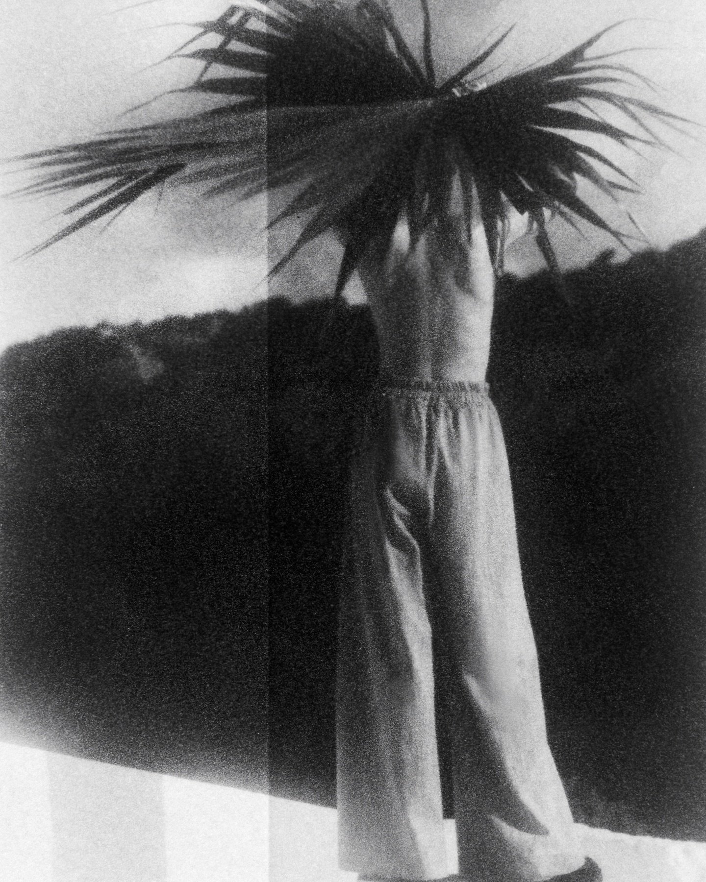 Sess&ugrave;n Spring 24 by Amelie Ambroise.