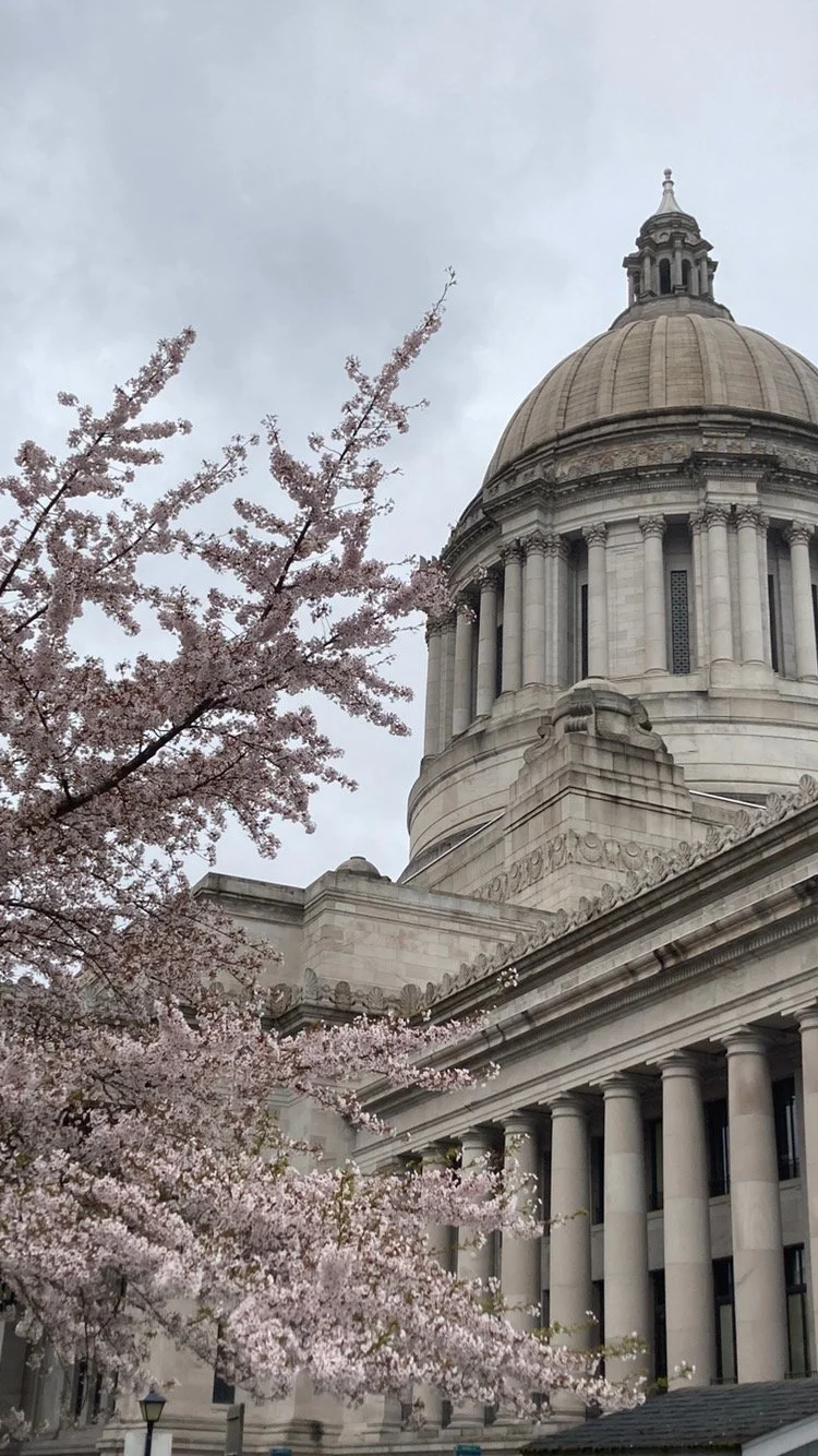Legislative Coaching