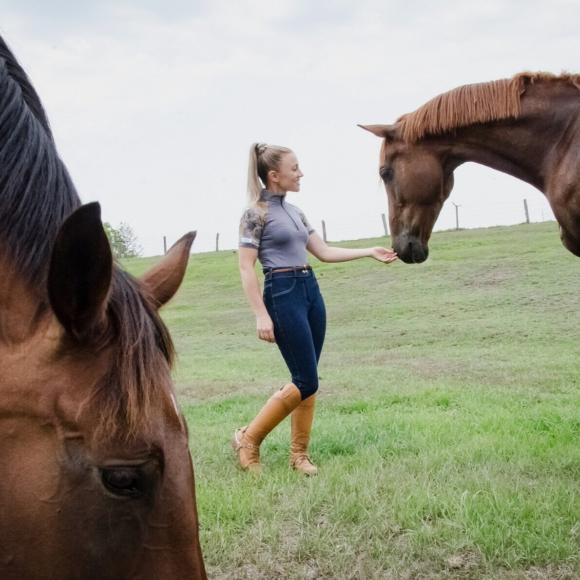 The Polished Horse Rider