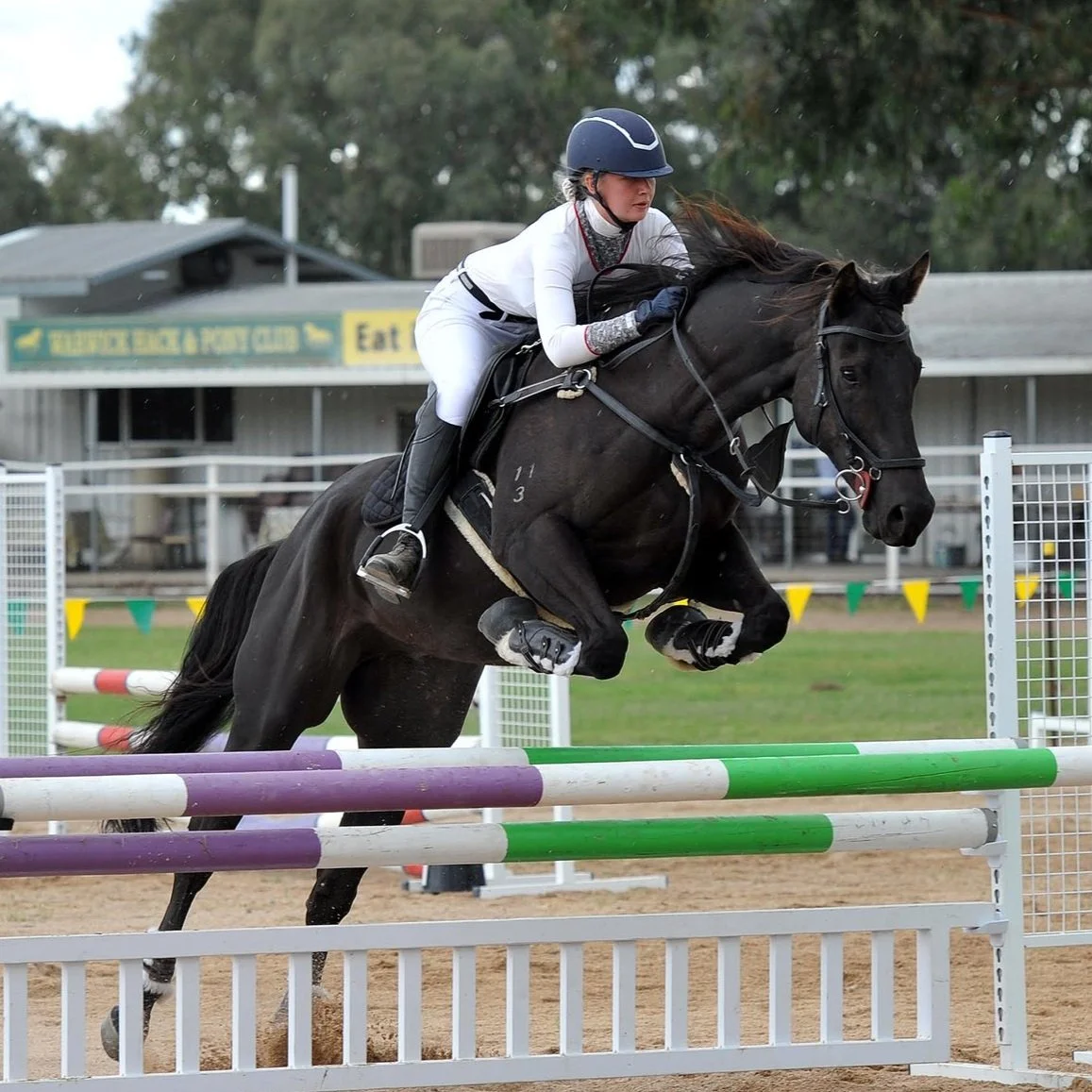 Meet our Team — The Polished Horse Rider