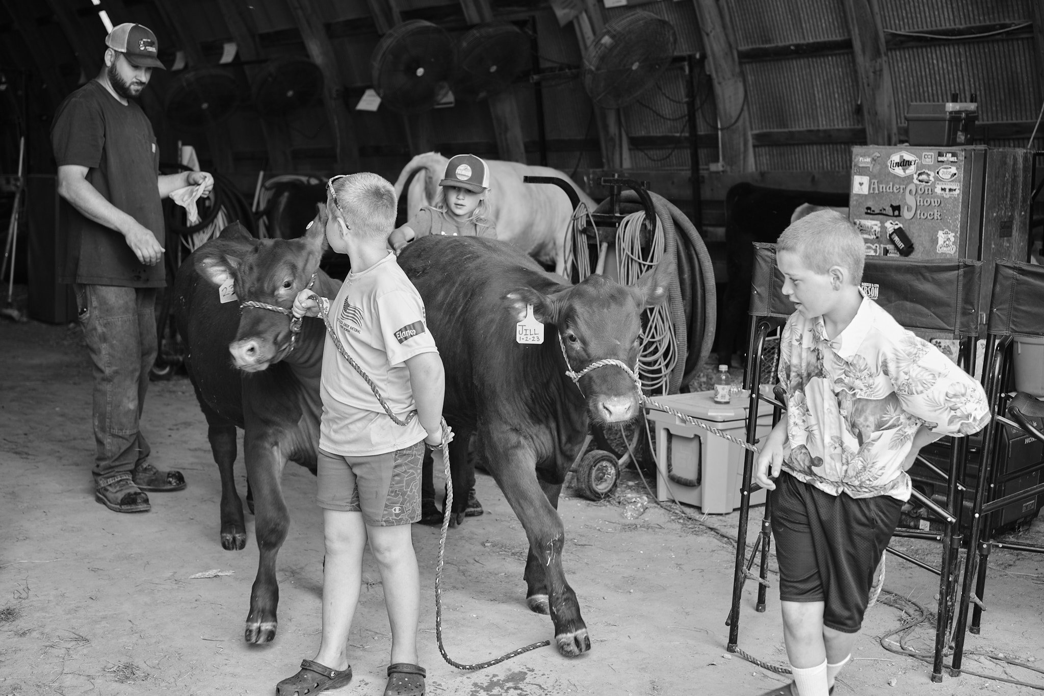Dodge & Waseca County Fairs