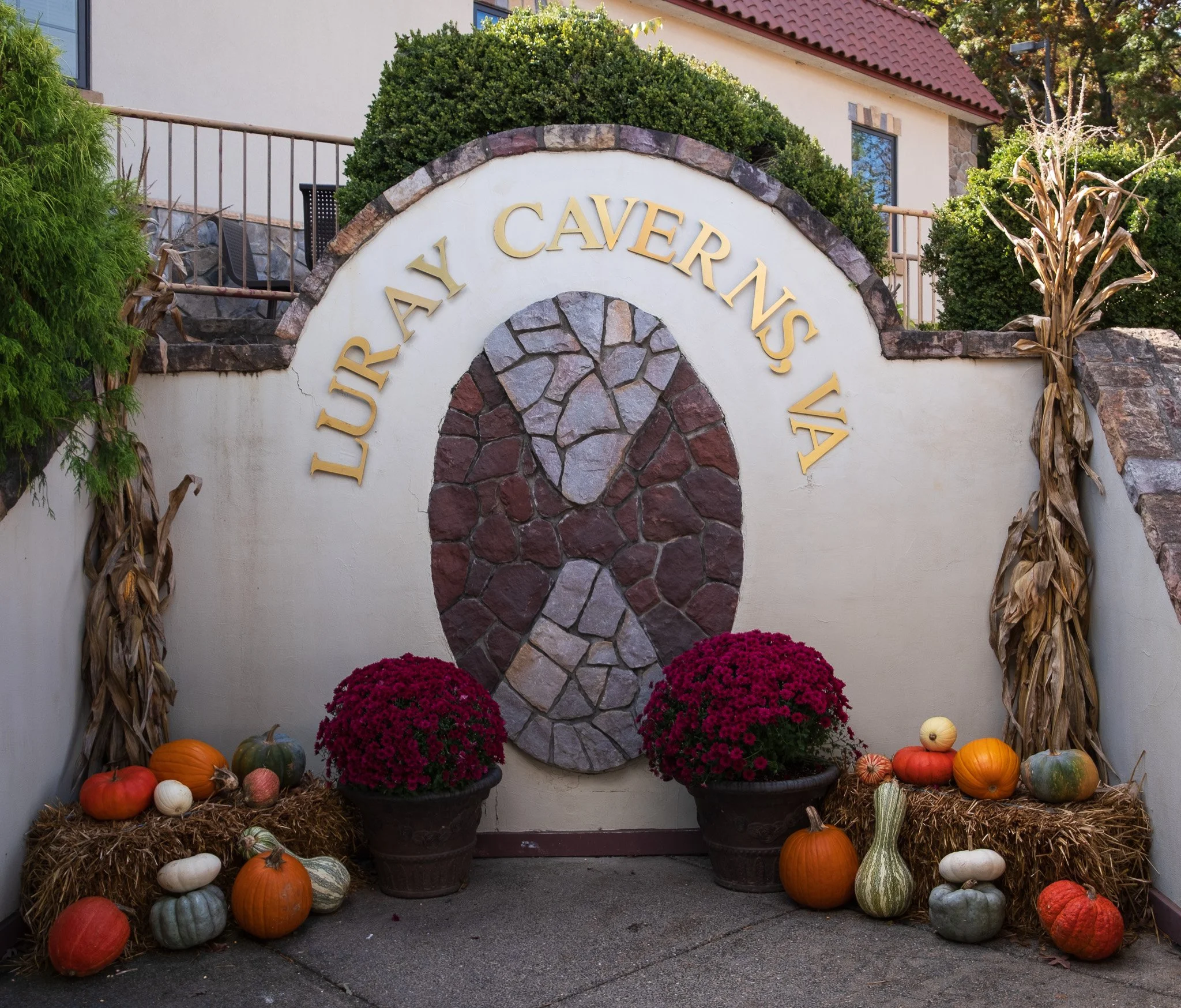 Blue Ridge Parkway Day #4