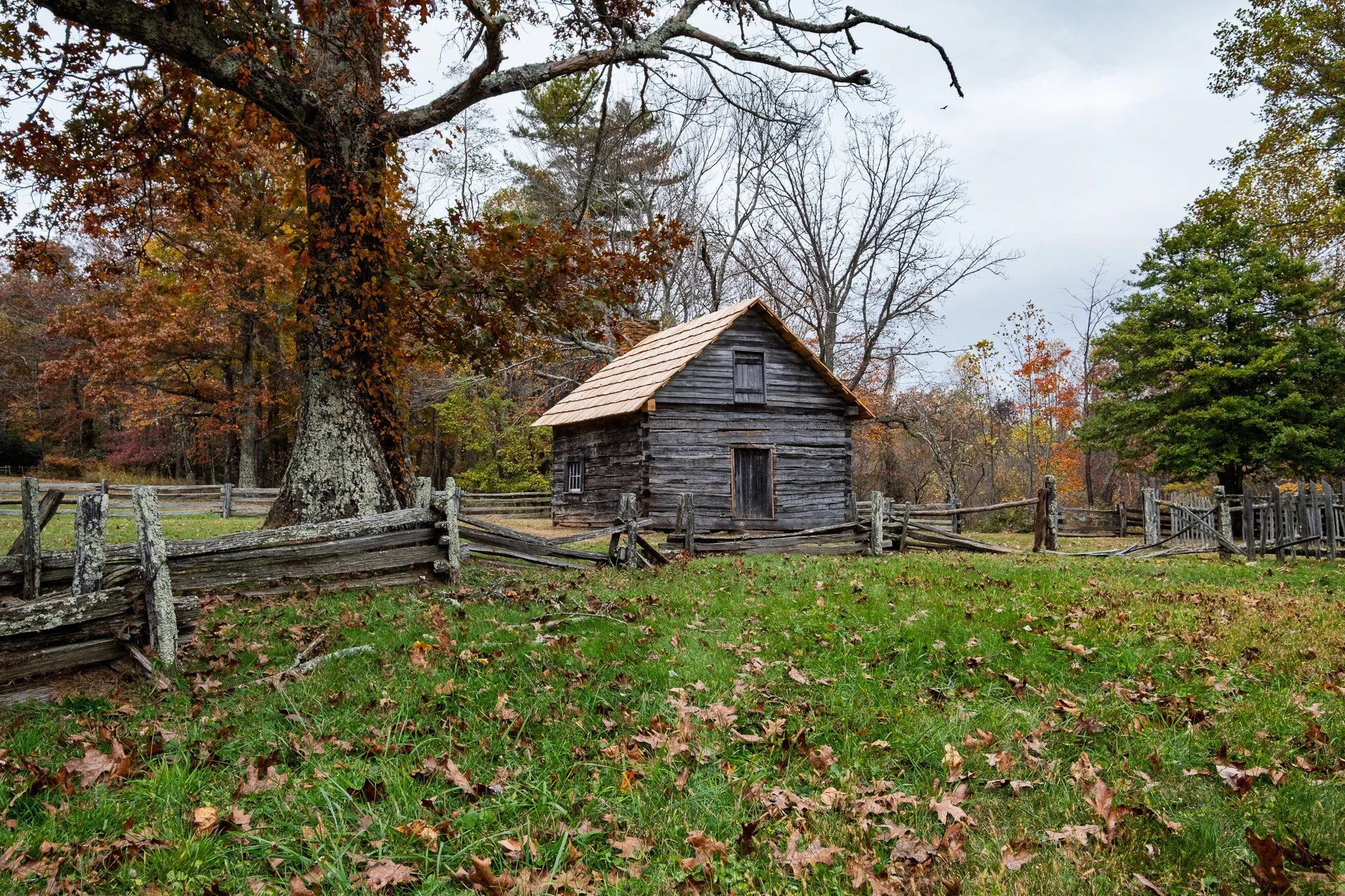 Blue Ridge Parkway Day #8