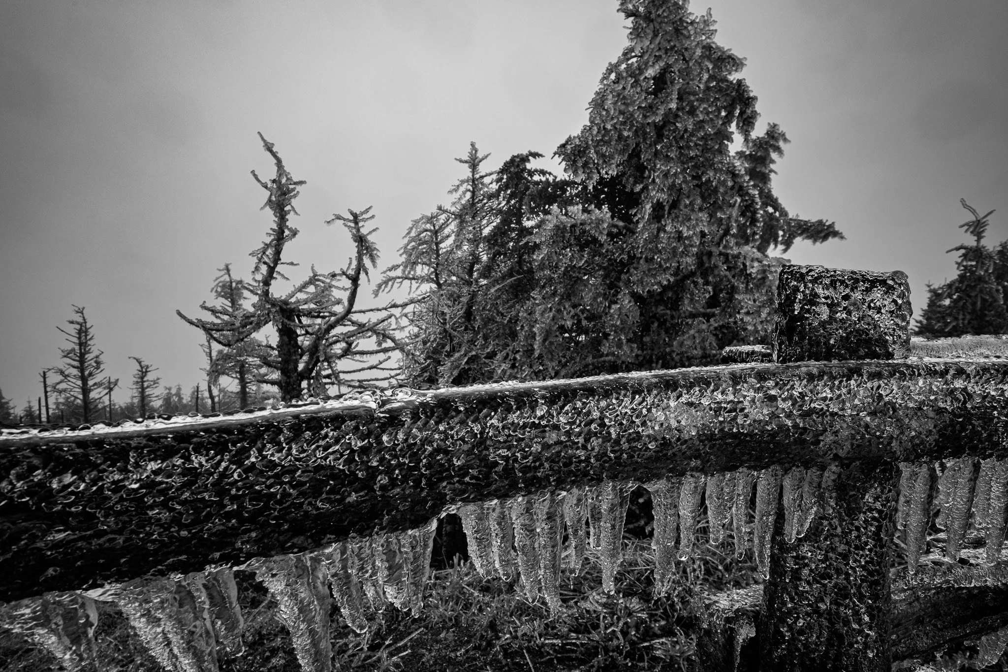 Blue Ridge Parkway Day #10