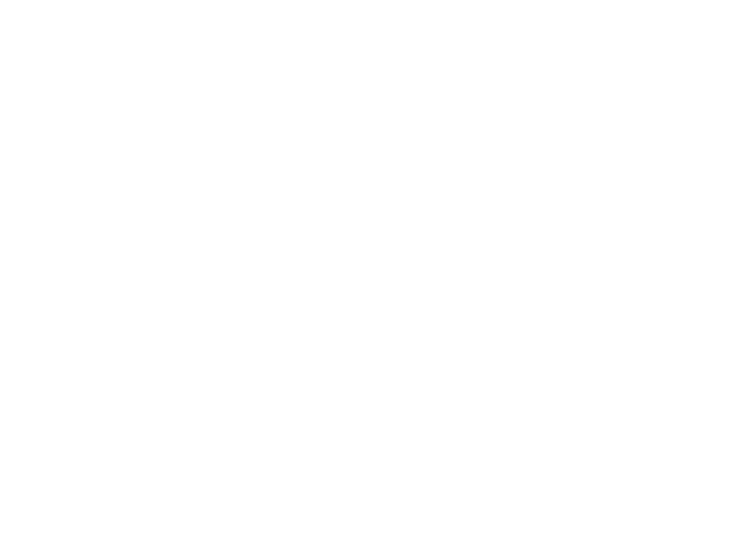 PALAMIR