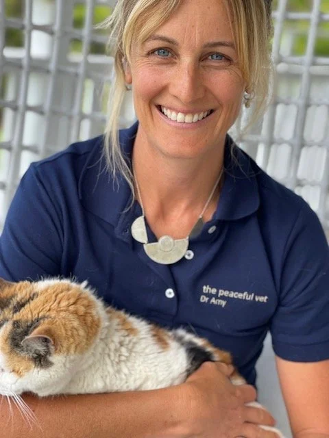 Dr Amy The Peaceful Vet