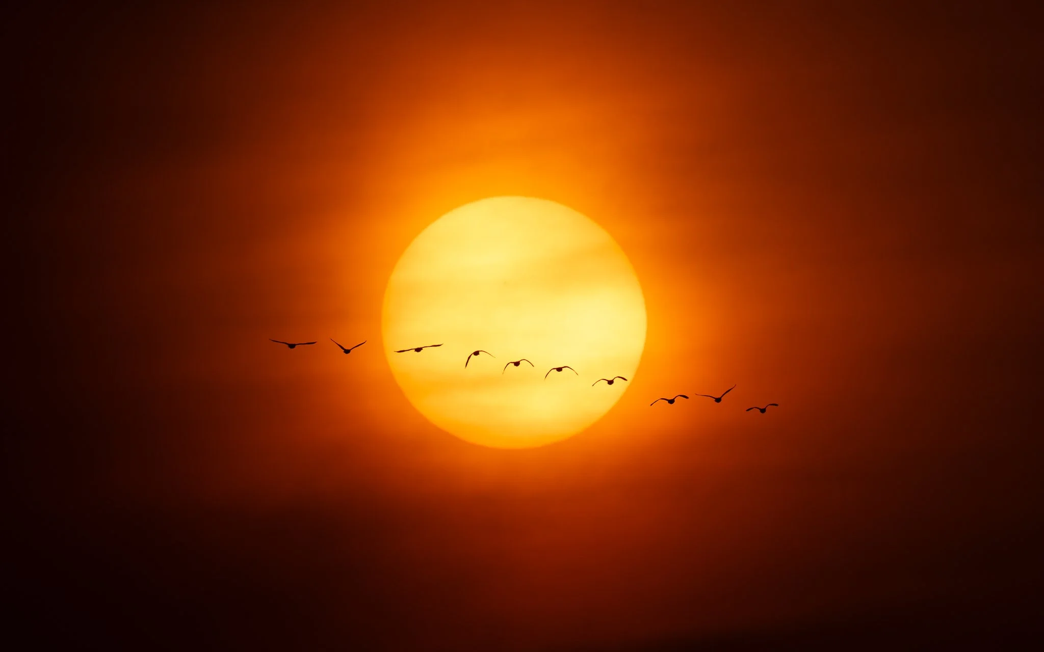 Sunrise_website.jpg