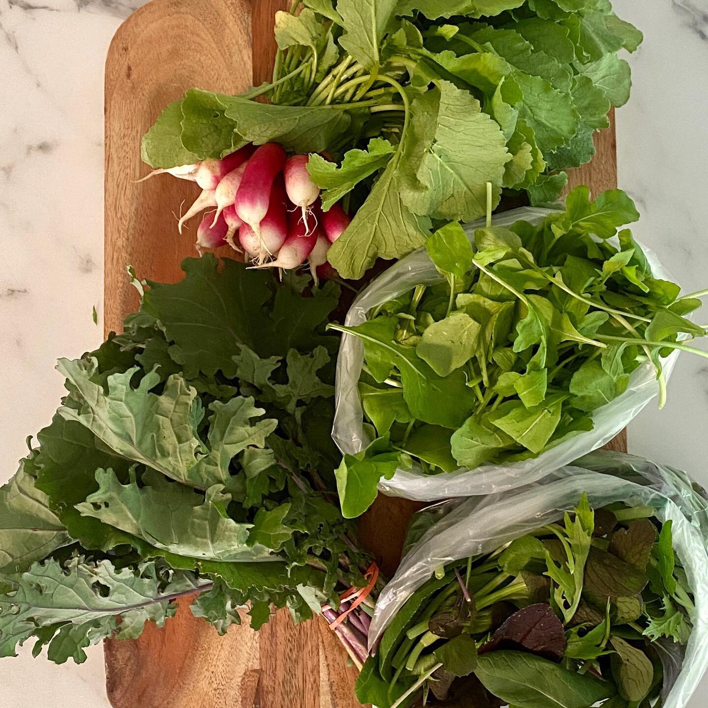 We are thrilled to have picked up our first CSA &ldquo;half share&rdquo; from the Lo Farm today. Can&rsquo;t wait to start cooking - Arugula, Baby Asian Greens, French Breakfast Radish,
Red Russian Kale! #cometocatskill #organicfarming #csamembers