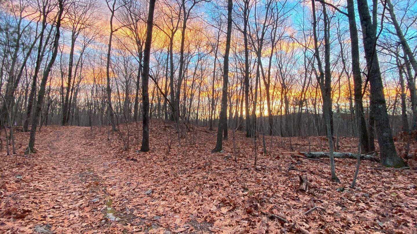 Trail walk with dogs at dusk. Beautiful sunset with view of mountains through the trees. Take in the beauty here. #cometocatskill #catskillcompasshouse