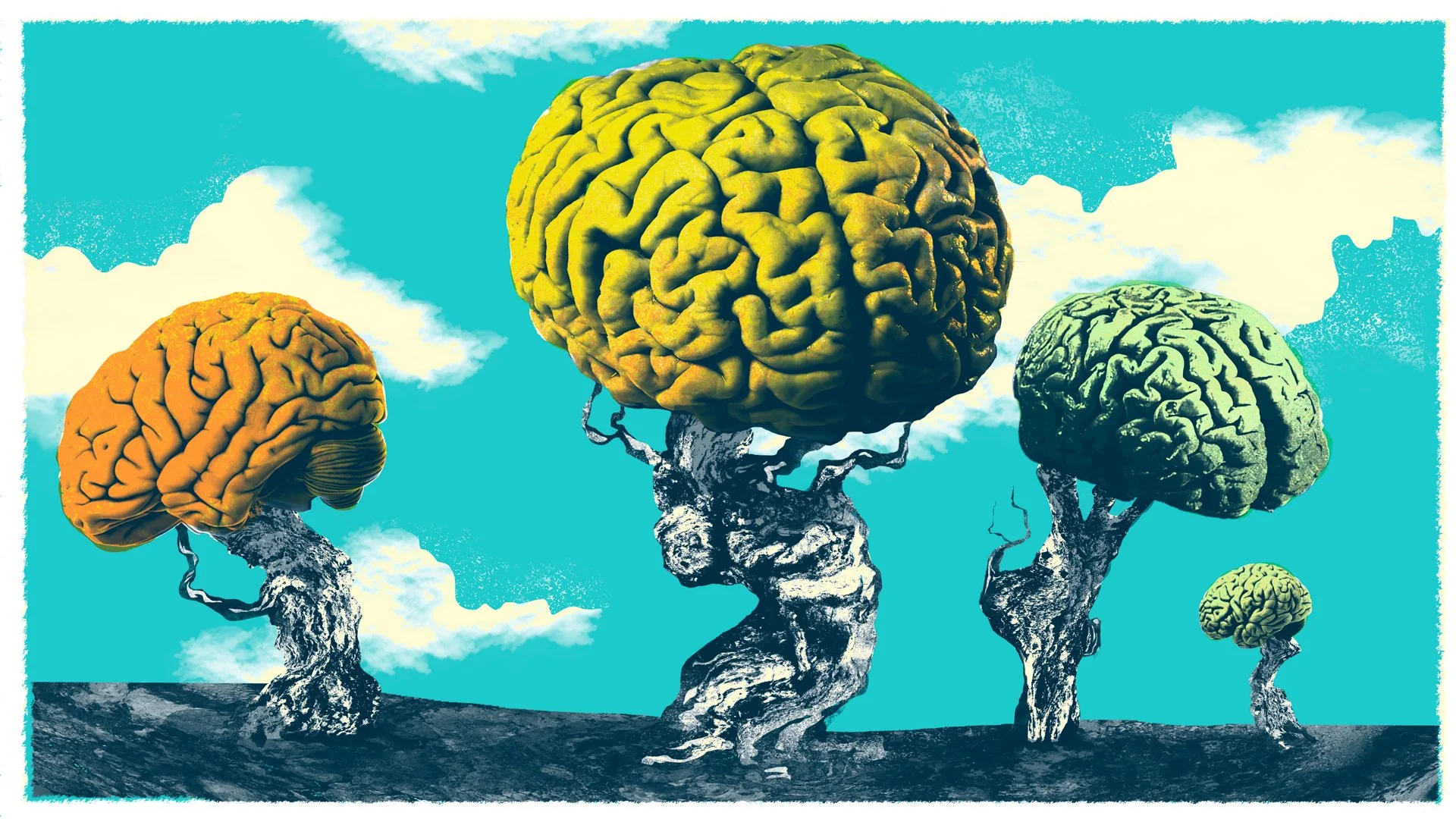 TDBank_BrainSuperAgers_1920.jpg