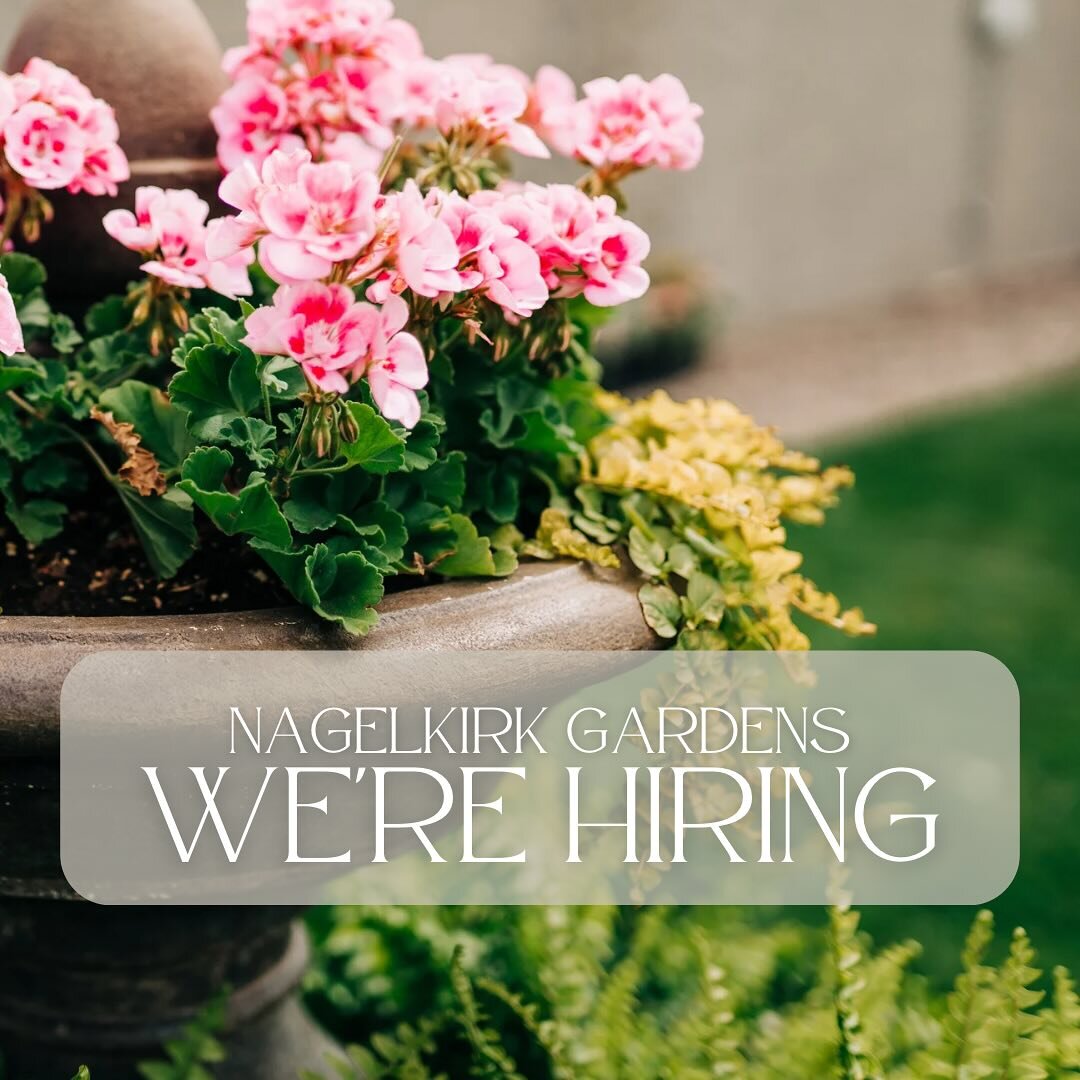 We&rsquo;re gearing up to welcome spring&hellip; which means we need to put together our team for the season! 🌱⁣
⁣
We need greenhouse and nursery assistants, cashiers, and an associate for the home store!⁣
⁣
If you&rsquo;re interested in any of the 