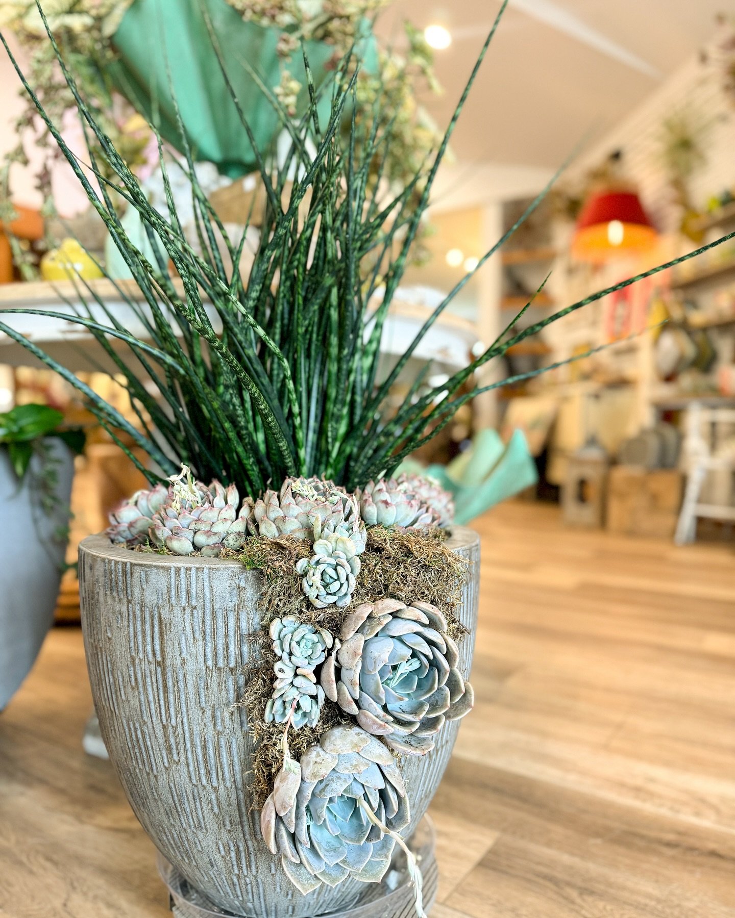 Our one and only, Theresa, does the *best* custom planters! She created this beauty yesterday!🤩 #nagelkirkgardens #marquettemichigan #906life