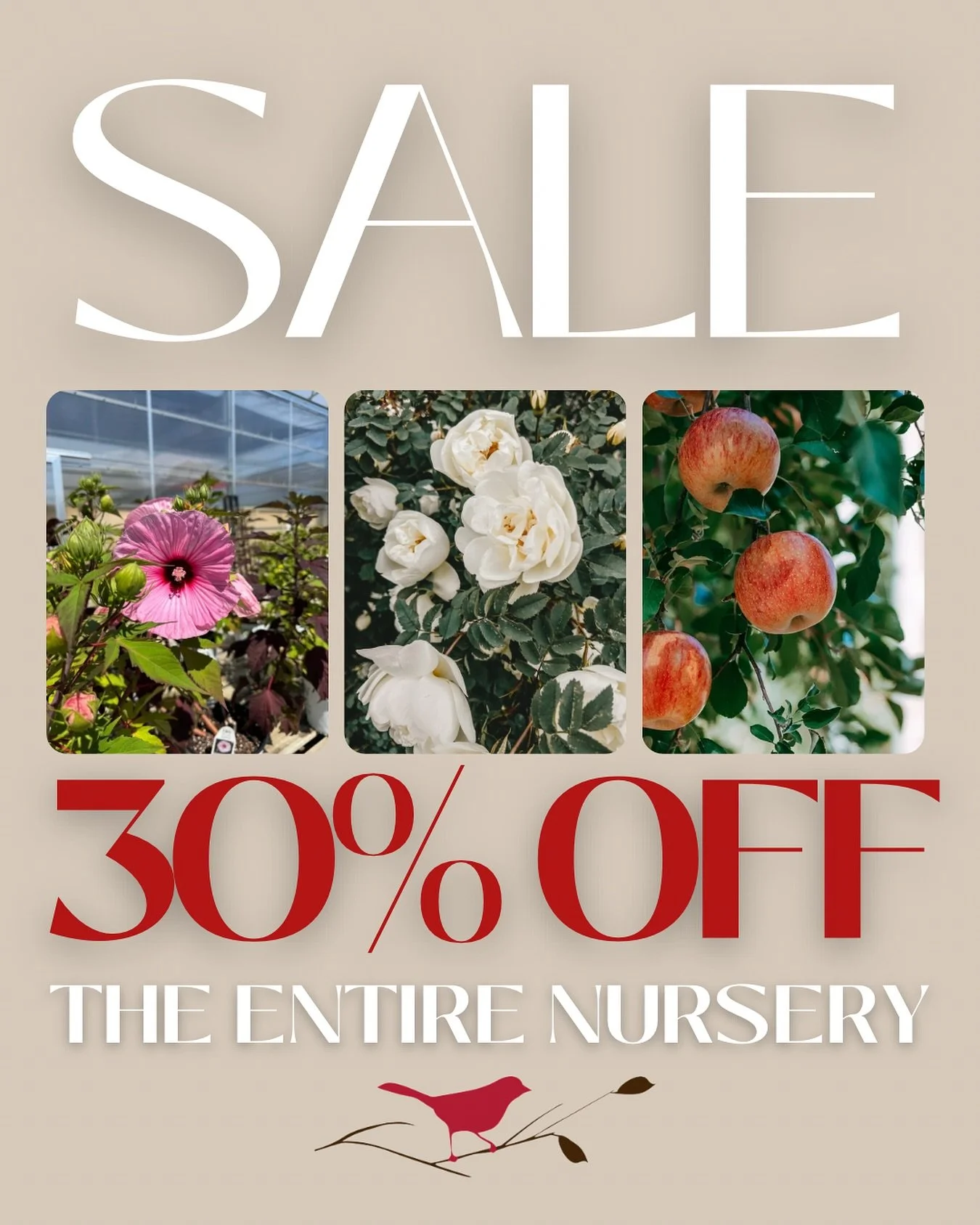 30% off the ENTIRE nursery! Perennial flowers, shrubs, and trees! 🤩